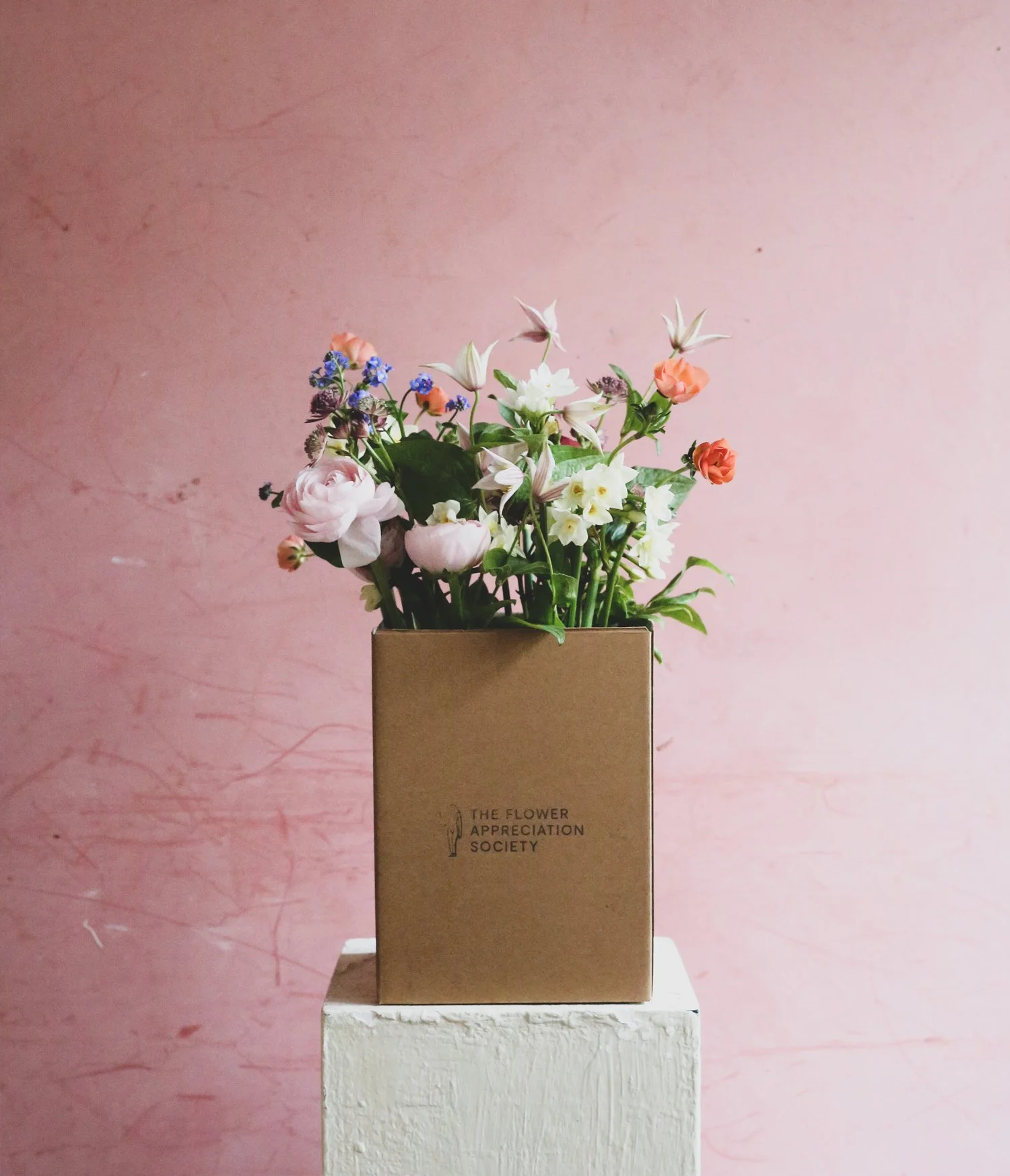 bud vases packaged resized.jpg