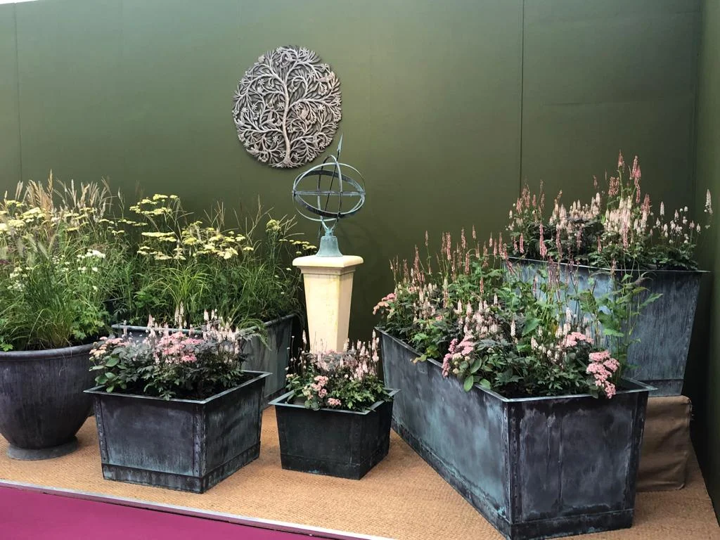 WhatsApp Image 2019-10-08 at 16.32.16.jpeg