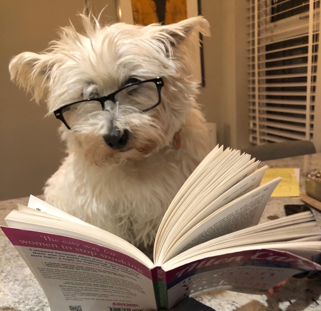 Taking a little lunchtime break with Molly but she seems more interested in her book than me !