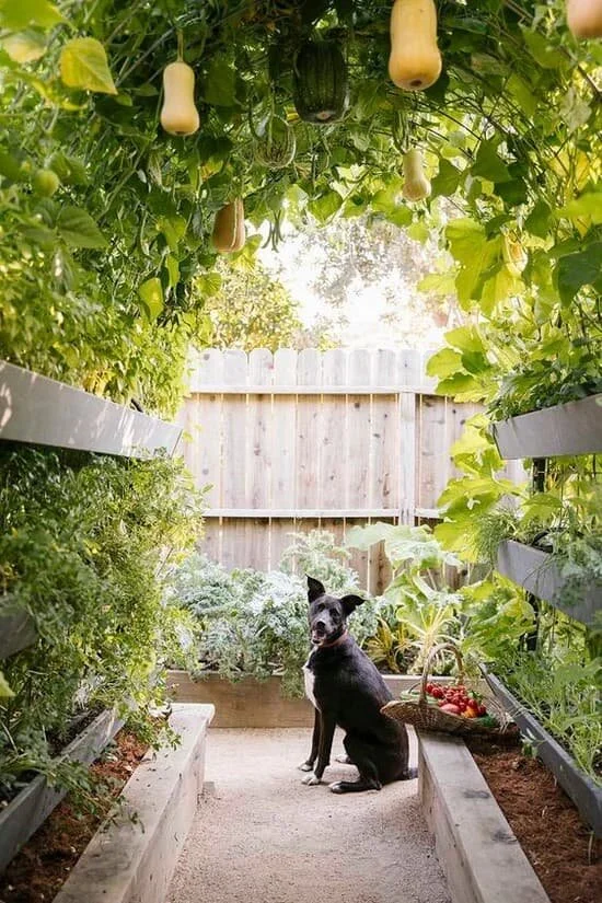 The value of home grown!