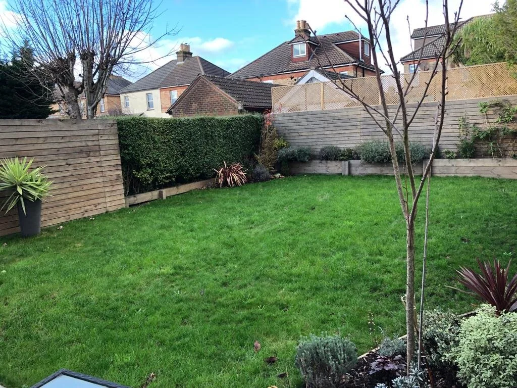 can’t wait for spring to arrive and start  watching the garden Flower 🌺