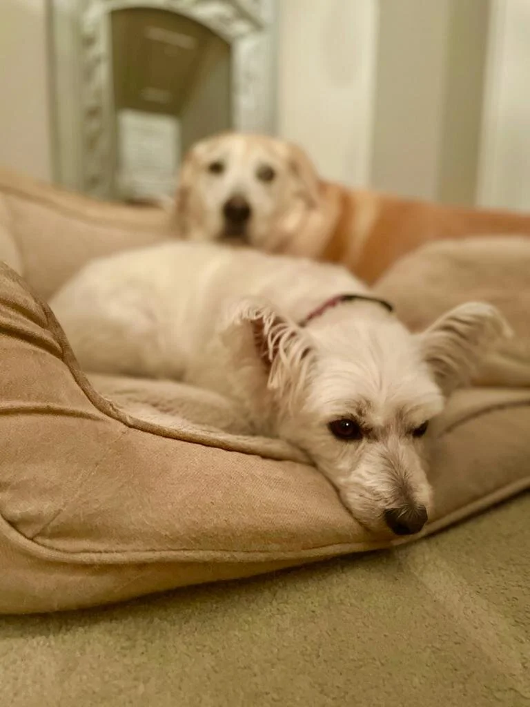 I’m really not sure about this haircut mummy ! 😁