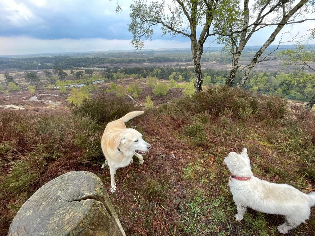 Amazing views in our Sunday walk !