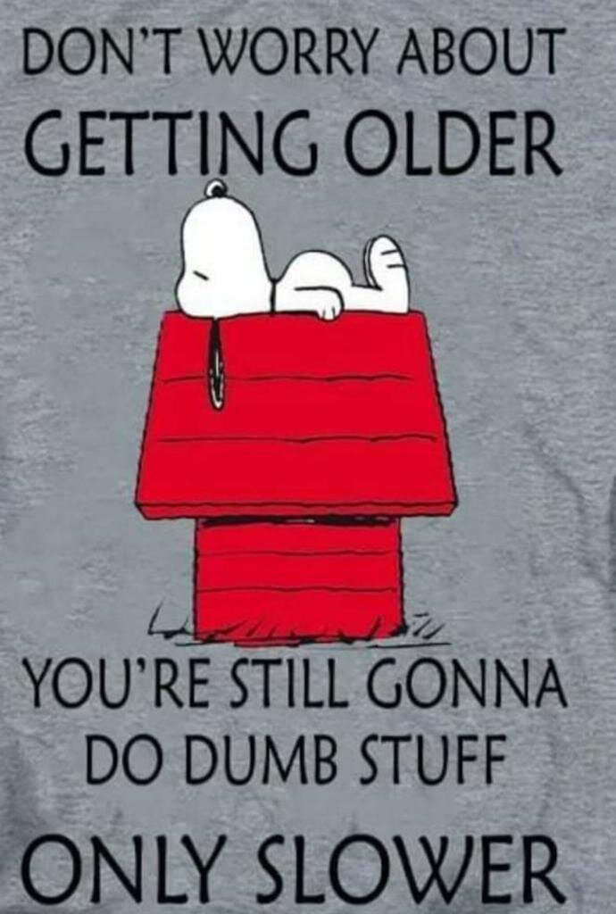 Snoopy is always right 😍