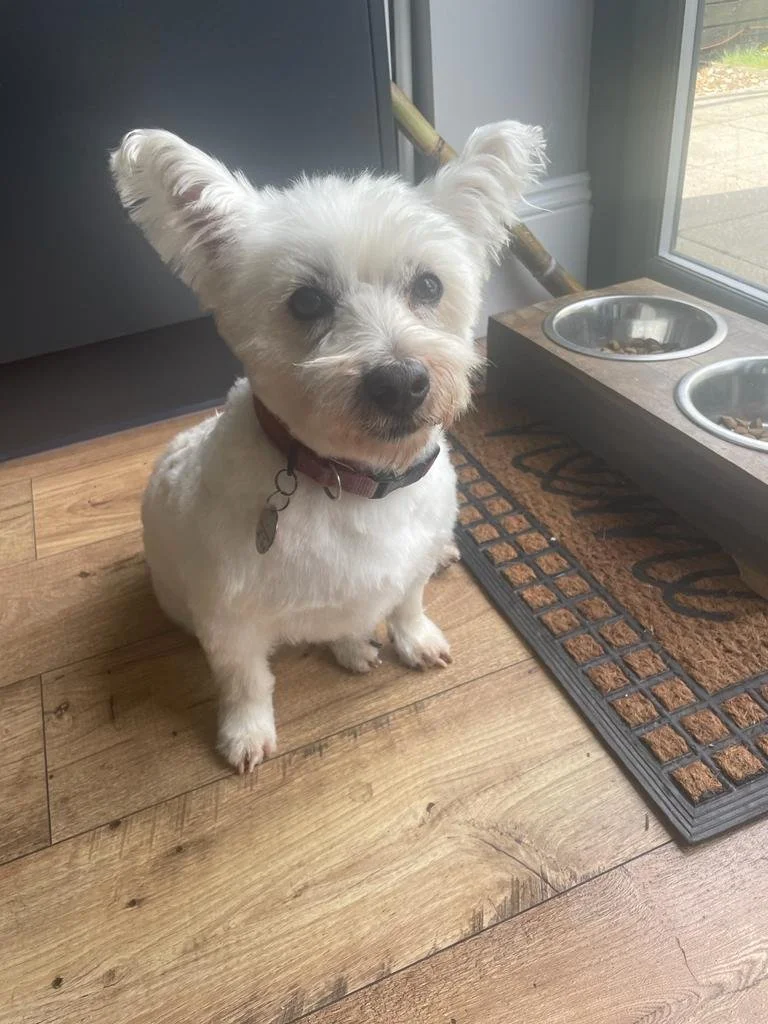 WhatsApp Image 2022-04-07 at 2.59.30 PM.jpeg