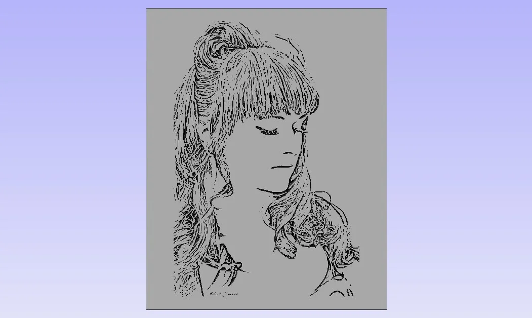 Custom engraved portraits of people, places and things.