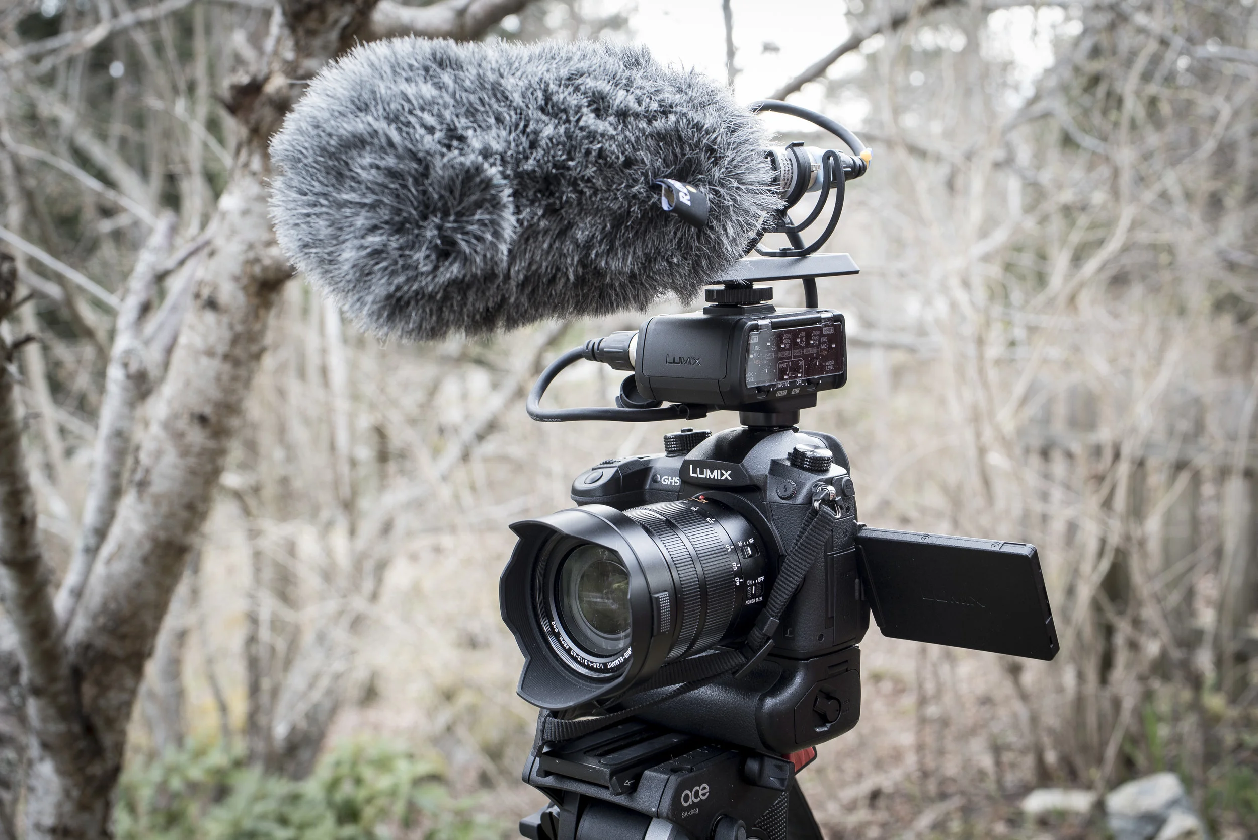Panasonic Lumix GH5 med batterigrepp och DMW-XLR1. Här tillsammans med en Røde NTG-2-mikrofon.