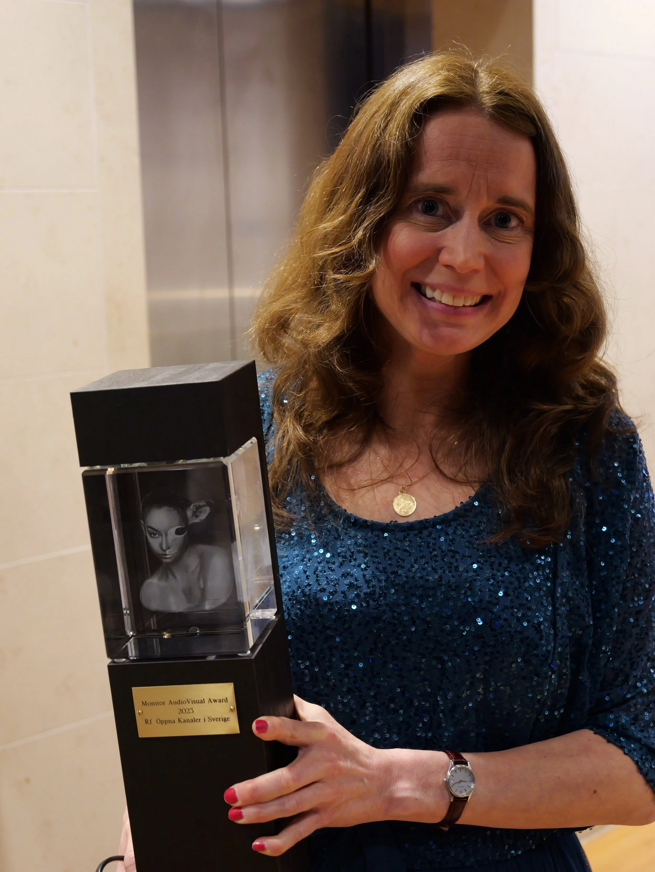 Vinnaren av Monitor AudioVisual Award