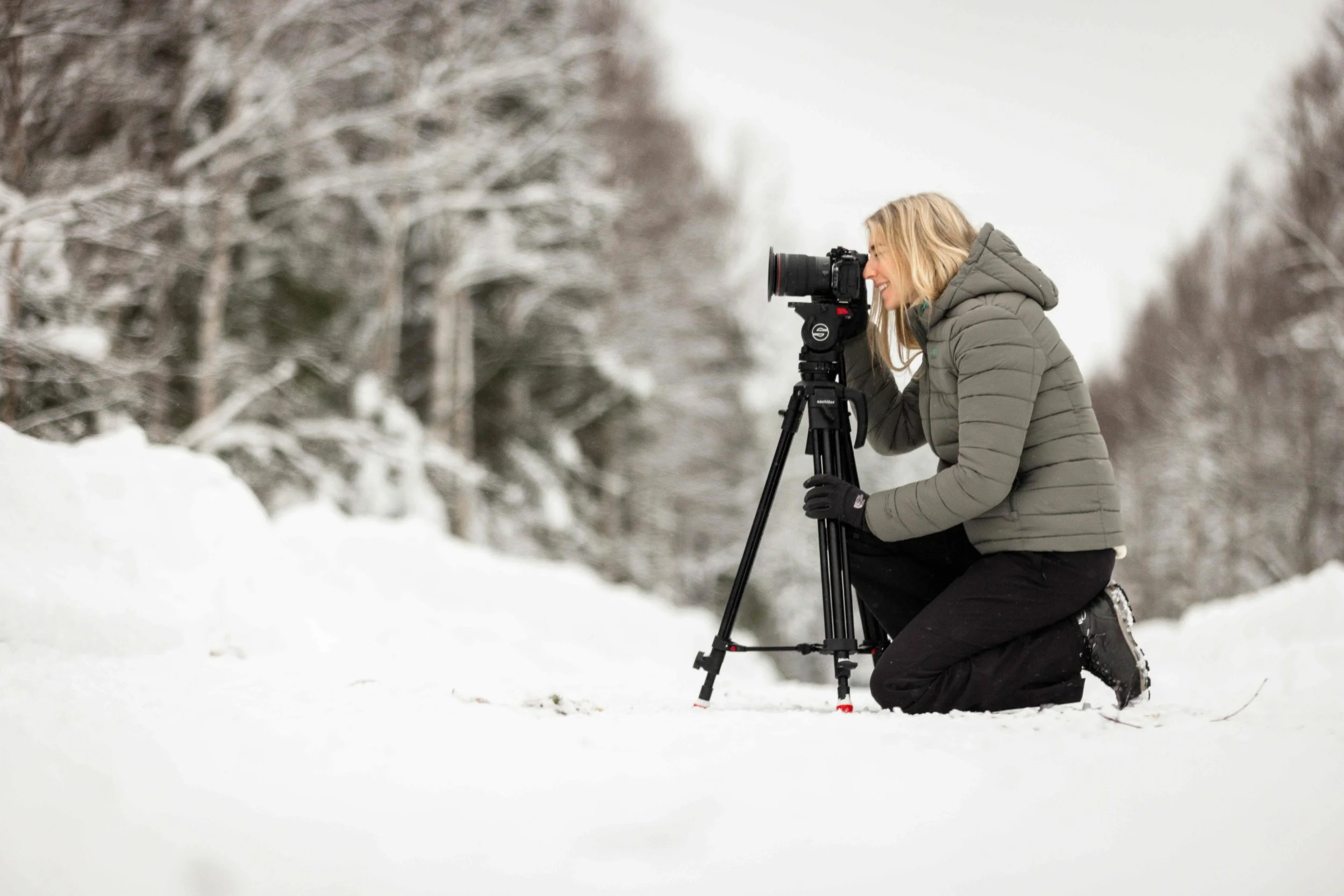Stativhuvuden från Sachtler
