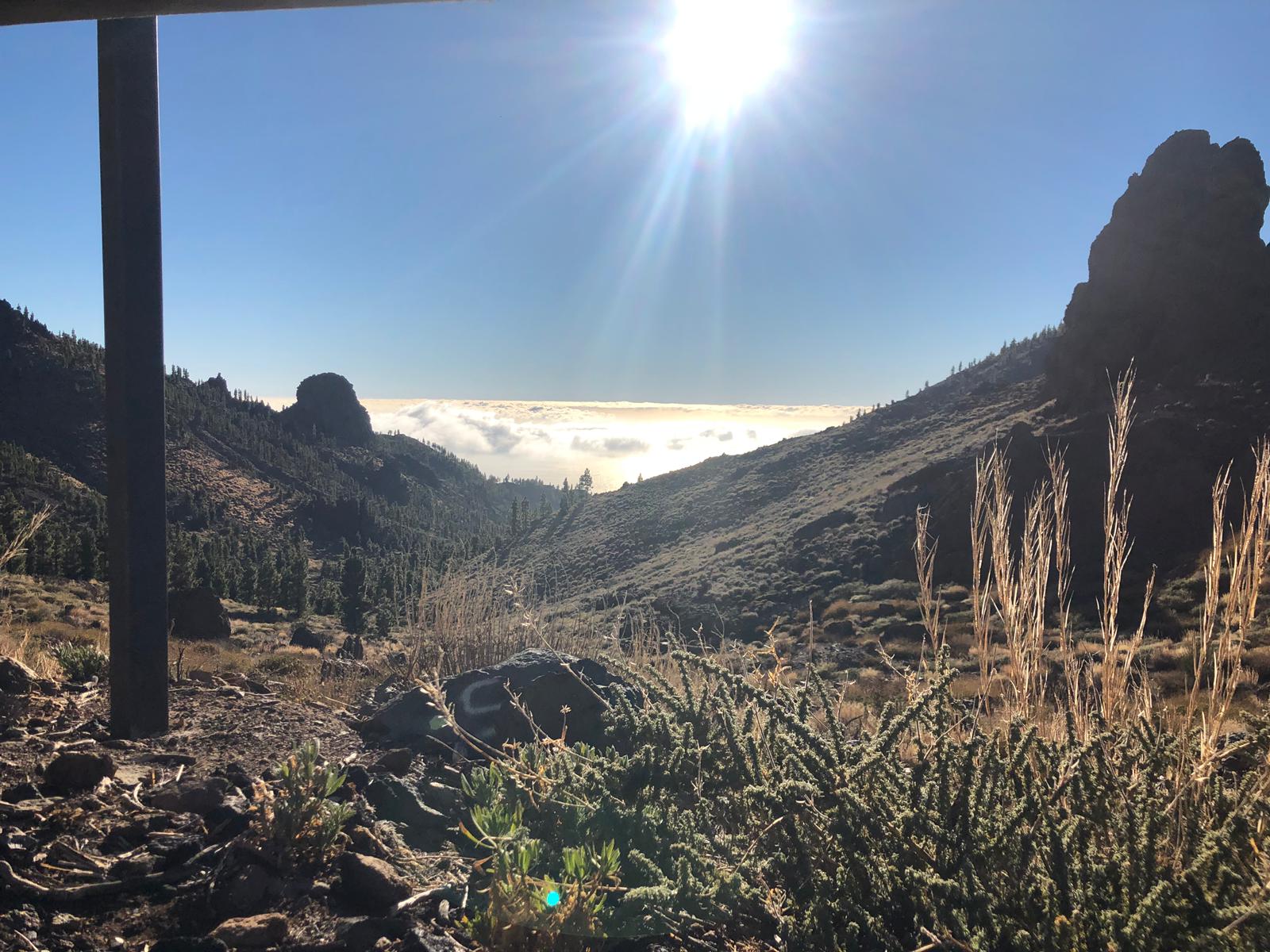 Desert view.jpeg