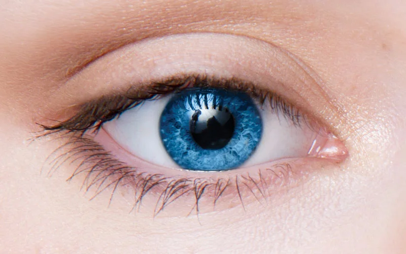 GettyImages-55895079-800x500.jpg