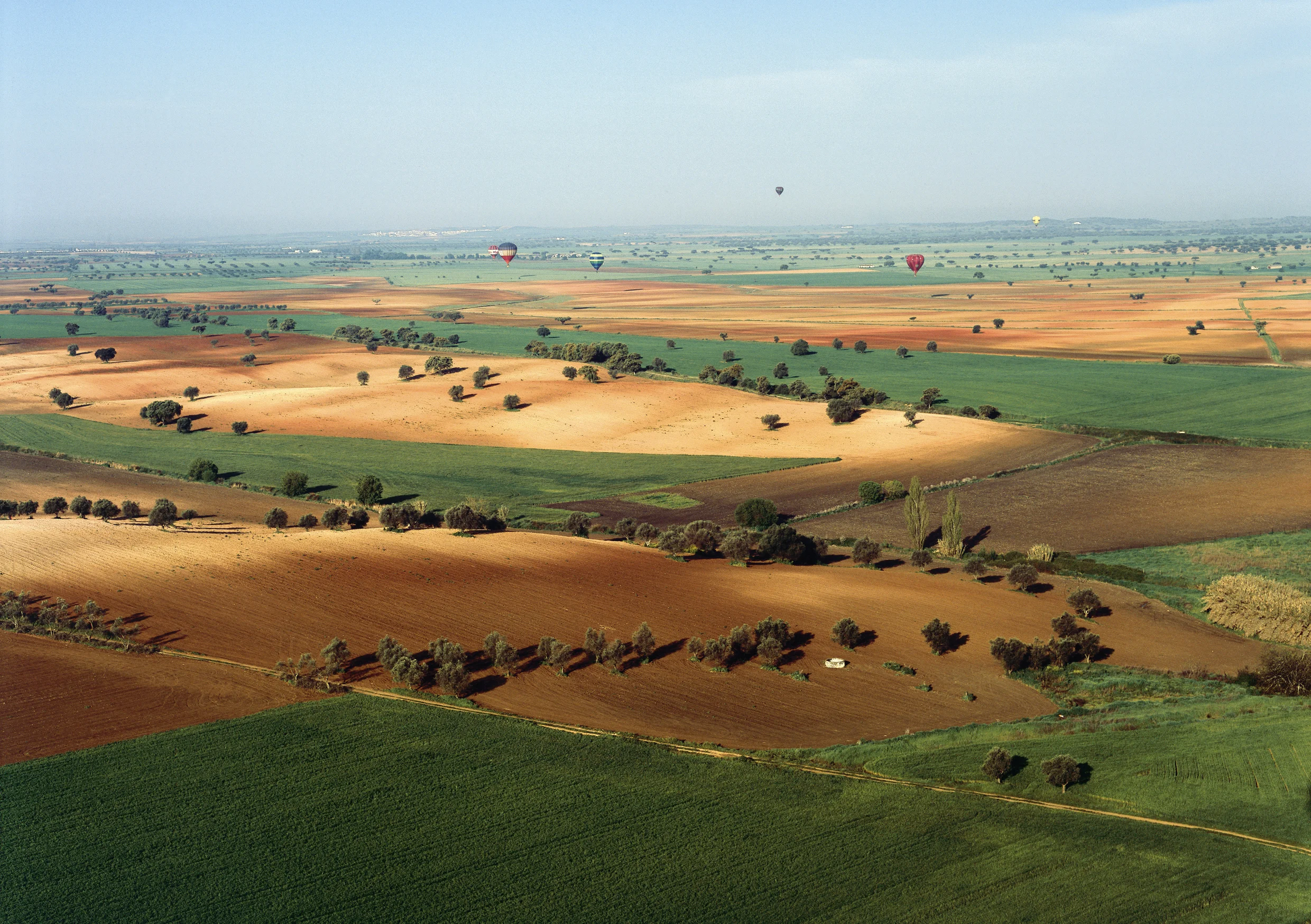 Alentejo lanscape_Credit Arq. TdP.jpg