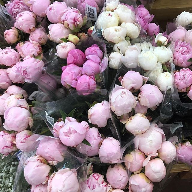 I love you Trader Joe&rsquo;s! You just made my day with your fragrant peonies and your asshole free experience. Peonies always remind me of your wedding @stefaniadecassania ❤️