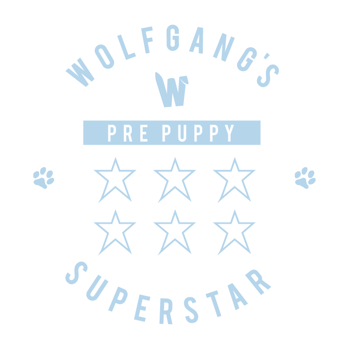 WPbigger-02.png