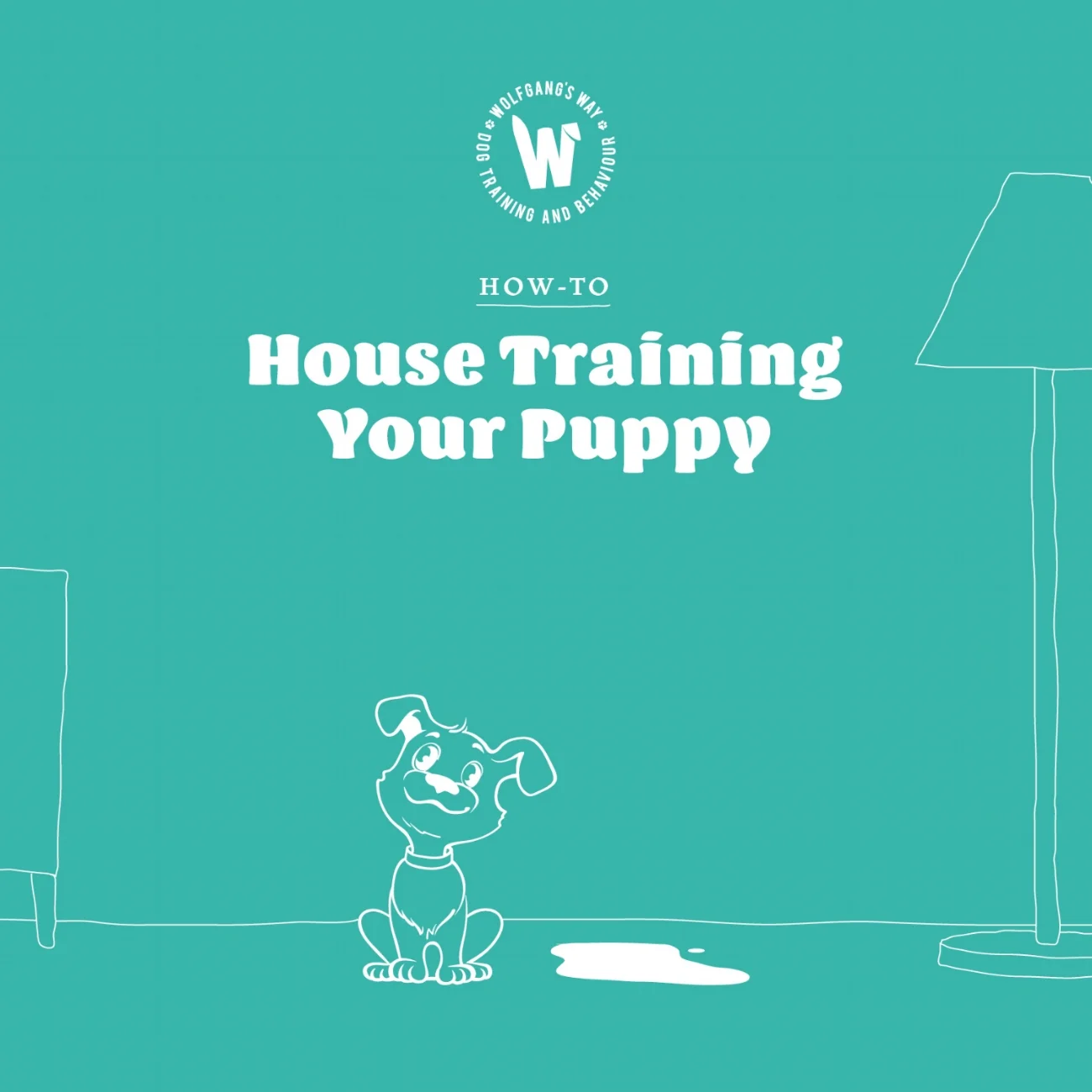House training your puppy - Wolfgang's Way Dog Training & Behaviour