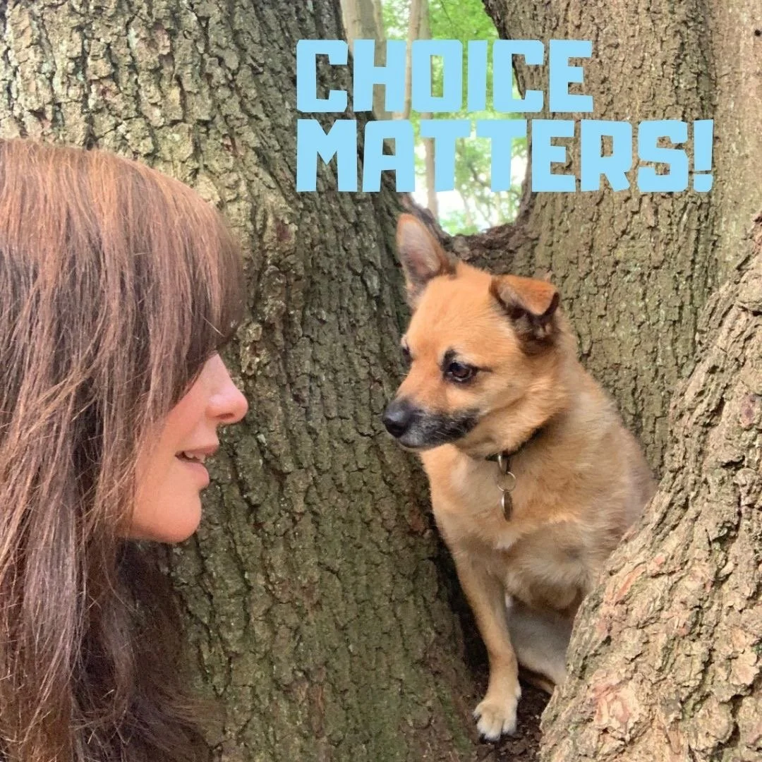 CHOICE MATTERS TO YOUR DOG!