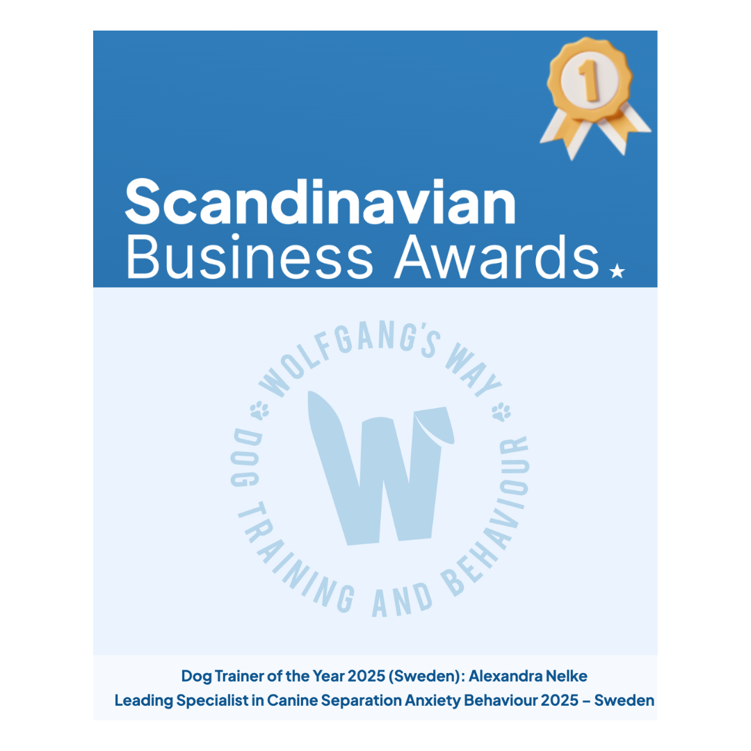 Scandinavian Business Awards 2025