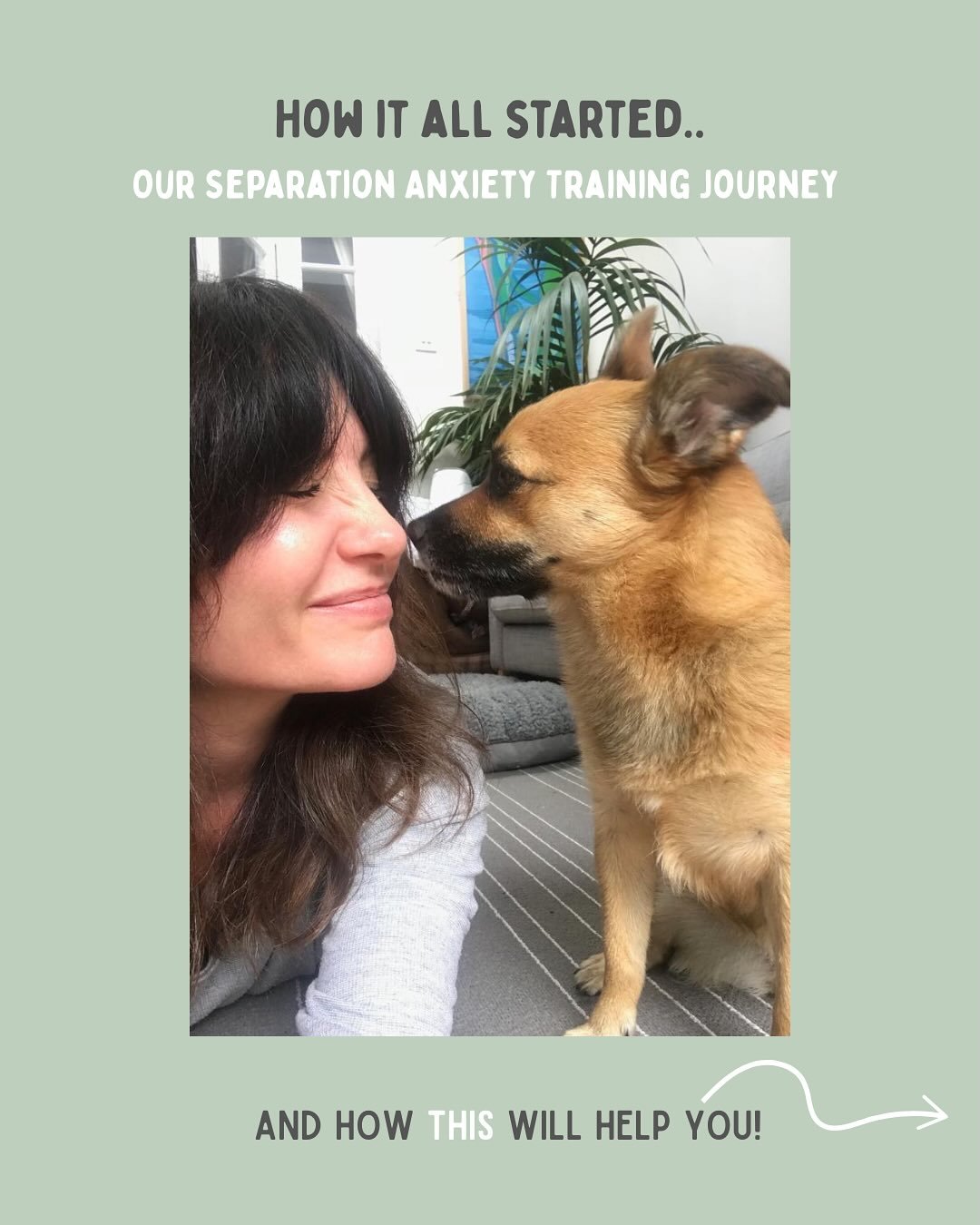 Living with a dog who struggles to be home alone is so much harder than people often realise.

I know this first hand &mdash; because I&rsquo;ve been there too.
When my dog Wolfgang suddenly developed separation anxiety after we moved, it completely 