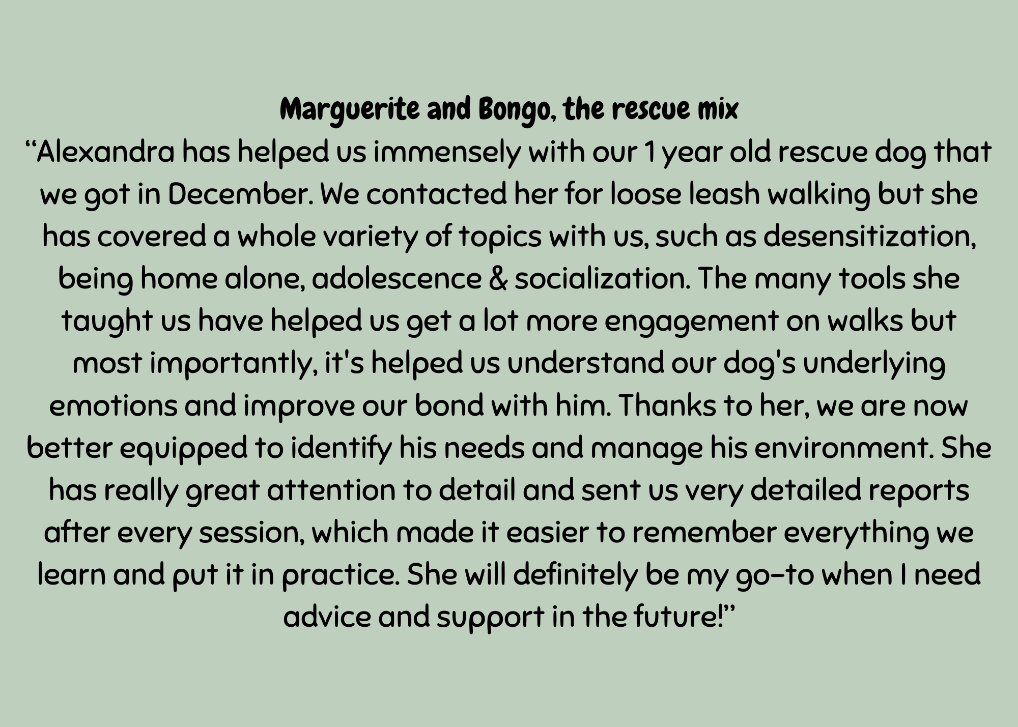 Malmö Dog Training rescue dog