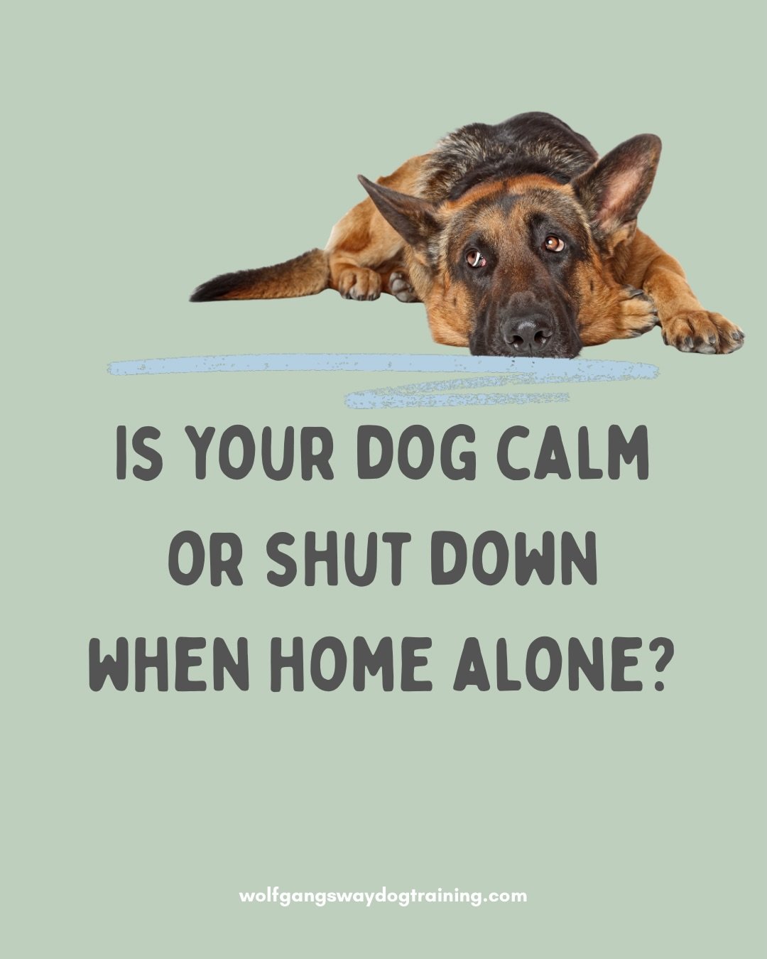 Giving up on getting help and feeling safe and relaxed when home alone can look very similar, unfortunately.

Especially when it comes to separation related issues and fears.

This can be influenced by your dog&rsquo;s personality, learning history a