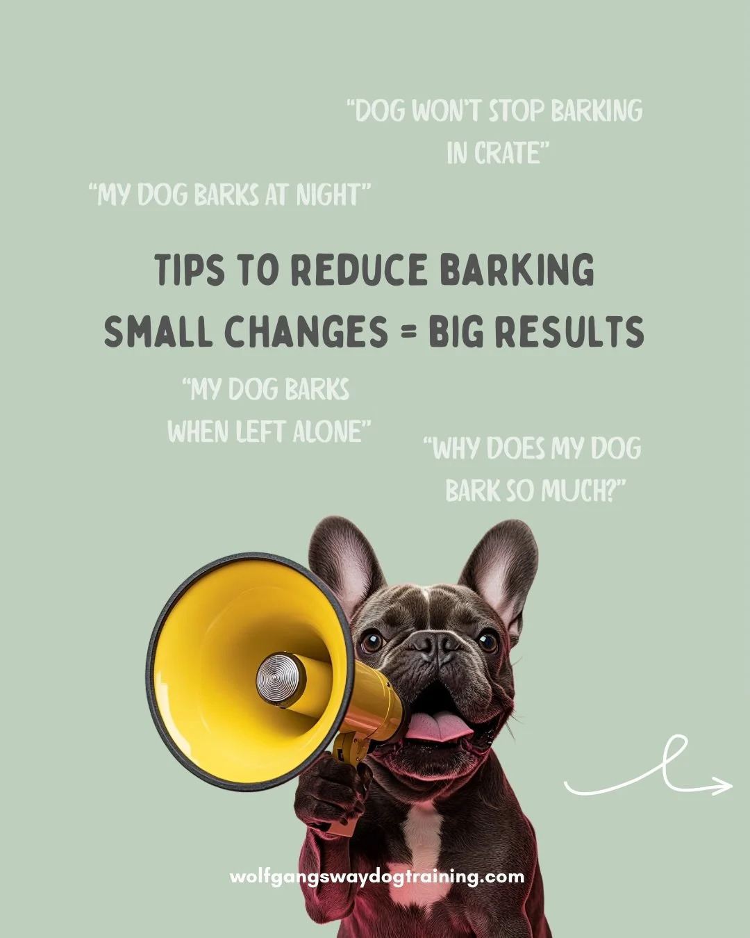 Does your dog bark a lot and you&rsquo;re wondering if it&rsquo;s normal?

Before searching &ldquo;how to stop dog barking&rdquo;, pause and ask why is my dog barking so much?

Excessive barking is often linked to:
* Stress or anxiety
* Fear or frust