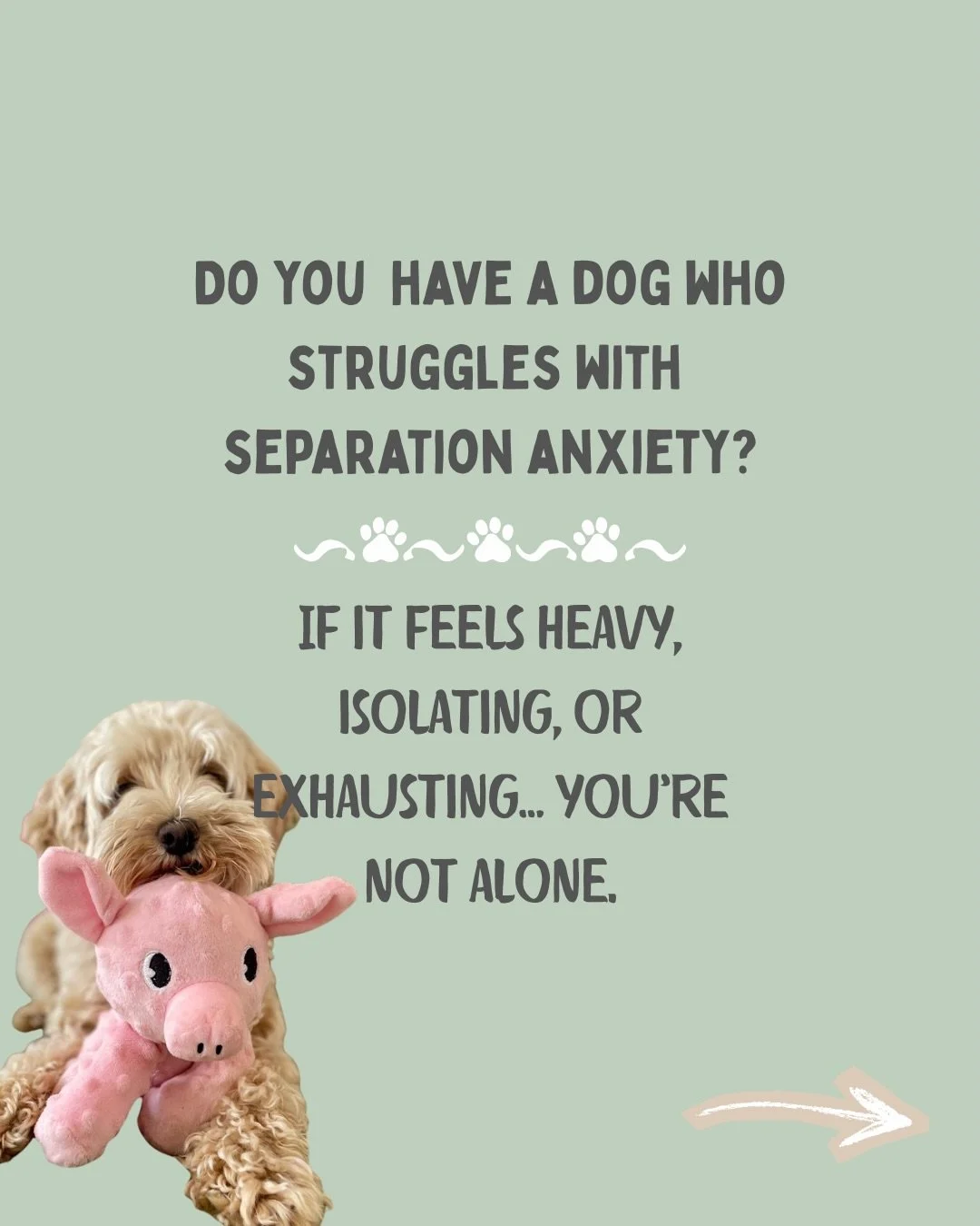 Living with a dog who struggles to be alone changes pretty much everything.

From cancelling social plans to rushing around and micro-managing your each and every movements.

And the hardest part? You love your dog deeply, yet your world keeps gettin