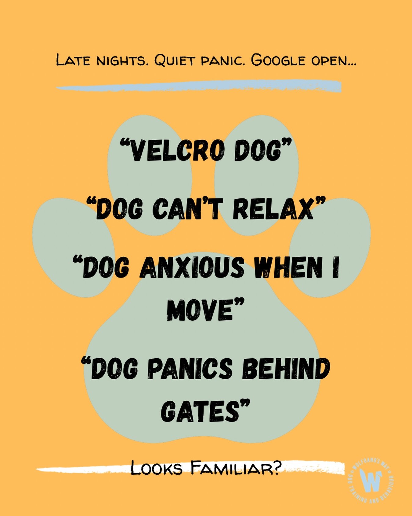 It&rsquo;s late&hellip;you&rsquo;ve had another day of managing around your dog&rsquo;s anxious behaviours&hellip;you pop the laptop open and your your online search throws up a million of different and confusing suggestions about how to handle your 