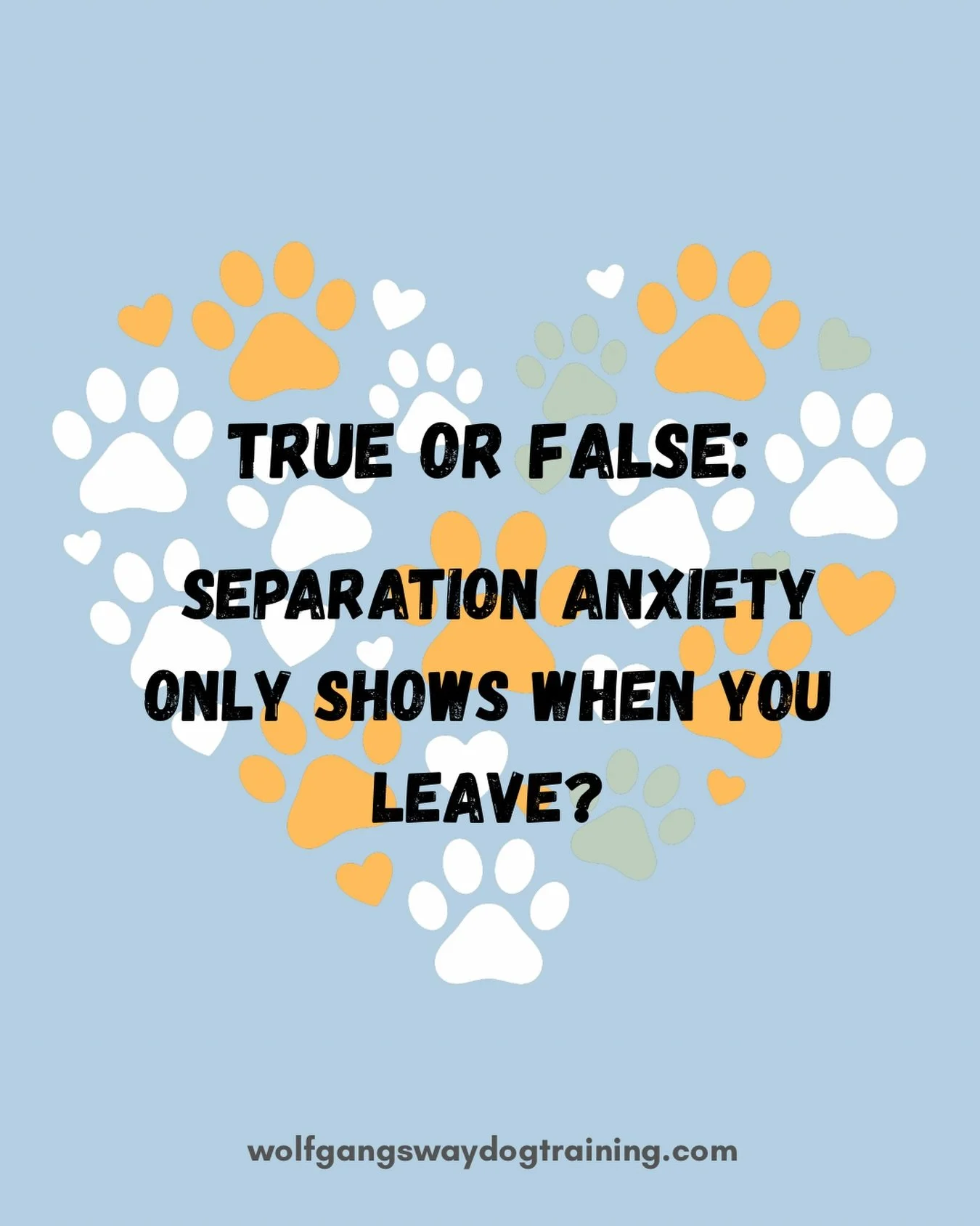 It may seem that separation anxiety only shows once you&rsquo;ve left the home but those of you who live with a dog who struggles with separation know very well that signs of stress start to show much earlier than that.

Some dogs start getting anxio