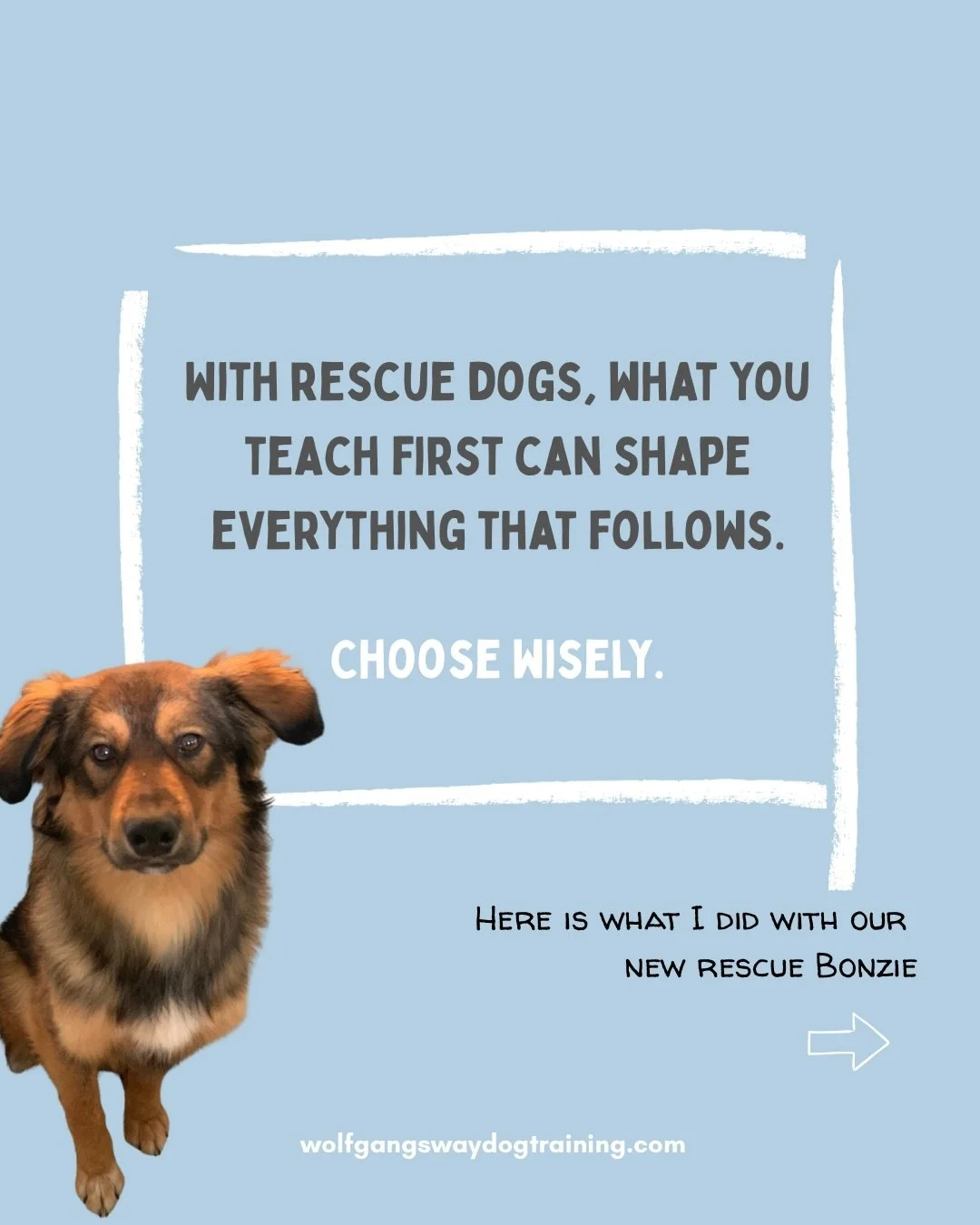 When a rescue dog arrives, training isn&rsquo;t my first priority.
Understanding them is, figuring out communication, allowing them space and time to settle into their new surroundings.

Now, with our new buddy Bonzie, this young man settled straight