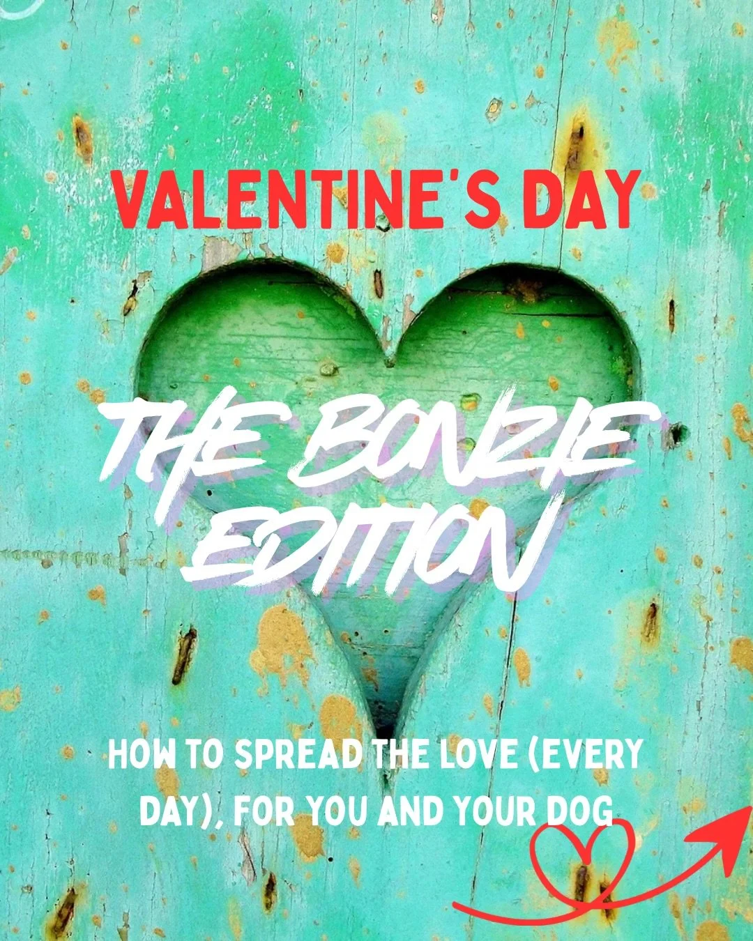 We&rsquo;d love to know what you have planned for Valentines Day.

Bonzie &amp; family 
Xxx

#doglover #dogsarelove&hearts;️ #dogtips #dogbehaviour #dogs❤️