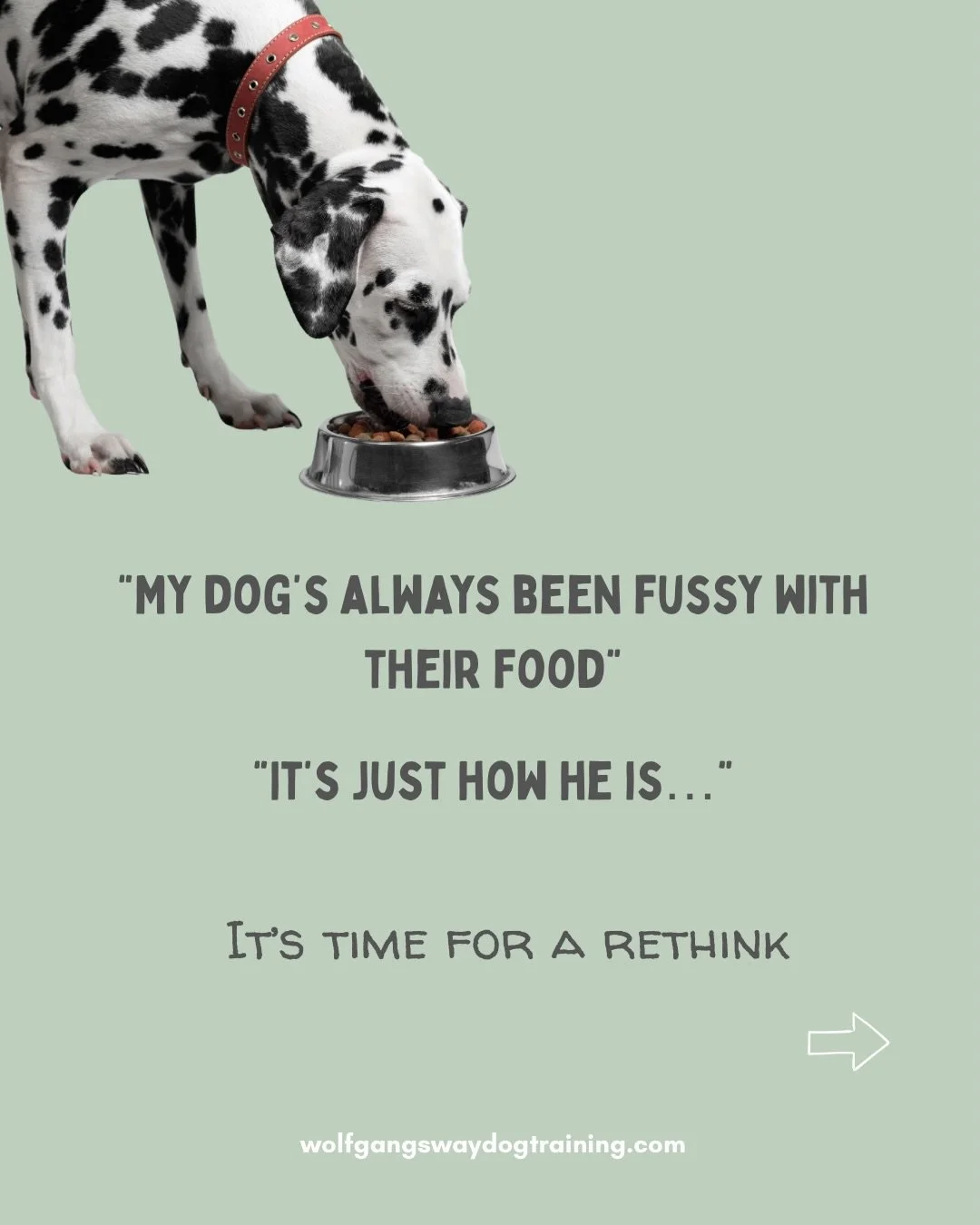 In my separation anxiety cases, underlying GI issues often affect progress. If the body feels off, anxiety rises and being alone feels harder.

And there are plenty of other behaviours that are impacted by stomach/ gut problems.

If your dog is strug