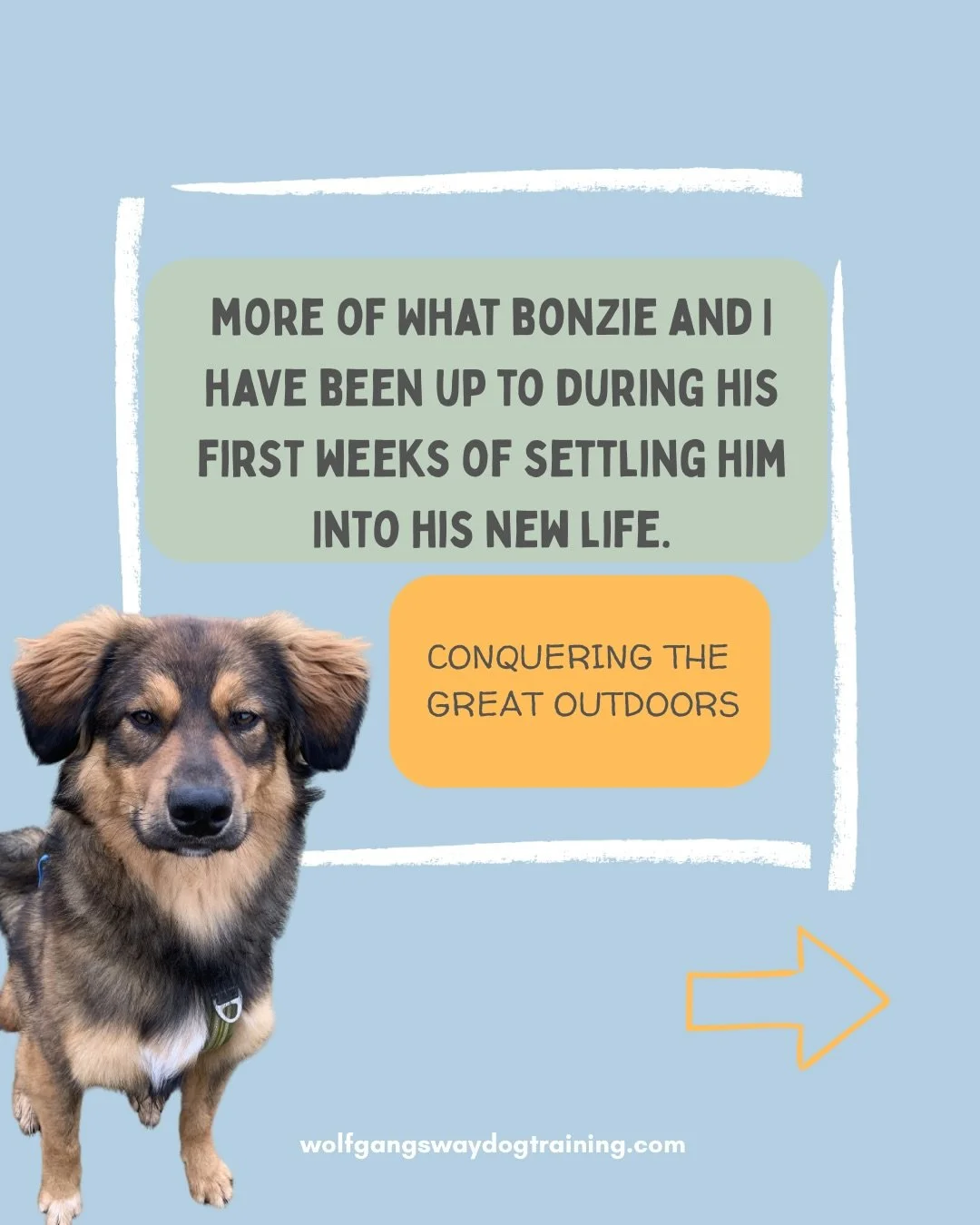 𝗥𝗲𝘀𝗰𝘂𝗲 𝗱𝗼𝗴 𝘁𝗿𝗮𝗶𝗻𝗶𝗻𝗴: what we are focusing on right now and why.

Bonzie&rsquo;s settled into his new home beautifully during the last weeks. We&rsquo;ve 𝗲𝘀𝘁𝗮𝗯𝗹𝗶𝘀𝗵𝗲𝗱 𝗿𝗼𝘂𝘁𝗶𝗻𝗲𝘀 𝗮𝗻𝗱 𝘄𝗮𝘆𝘀 𝗼𝗳 𝗰𝗼𝗺𝗺𝘂𝗻𝗶𝗰𝗮?