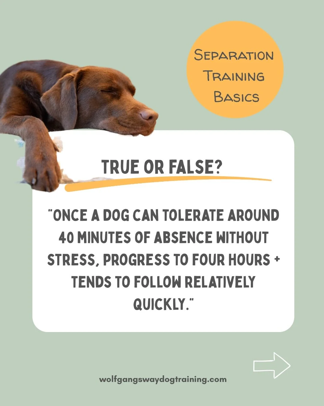 𝗔𝘁 𝘄𝗵𝗮𝘁 𝗽𝗼𝗶𝗻𝘁 𝗱𝗼𝗲𝘀 𝗺𝘆 𝗱𝗼𝗴&rsquo;𝘀 𝘀𝗲𝗽𝗮𝗿𝗮𝘁𝗶𝗼𝗻 𝗮𝗻𝘅𝗶𝗲𝘁𝘆 𝘁𝗿𝗮𝗶𝗻𝗶𝗻𝗴 𝘀𝗽𝗲𝗲𝗱 𝘂𝗽? 

Definitely one of the more frequent questions I get from people.

Some people argue that once a dog reached a duration of ?