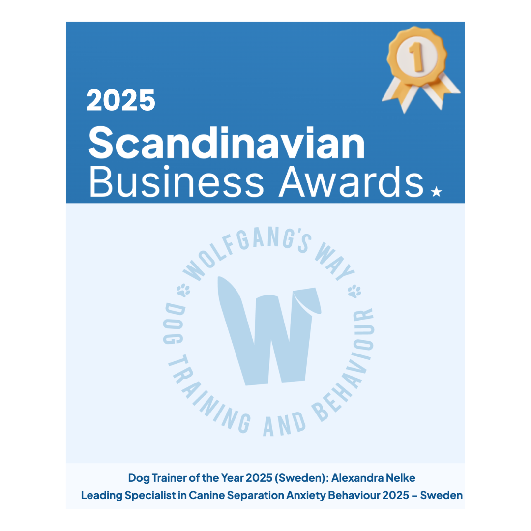 Biz Awards .png