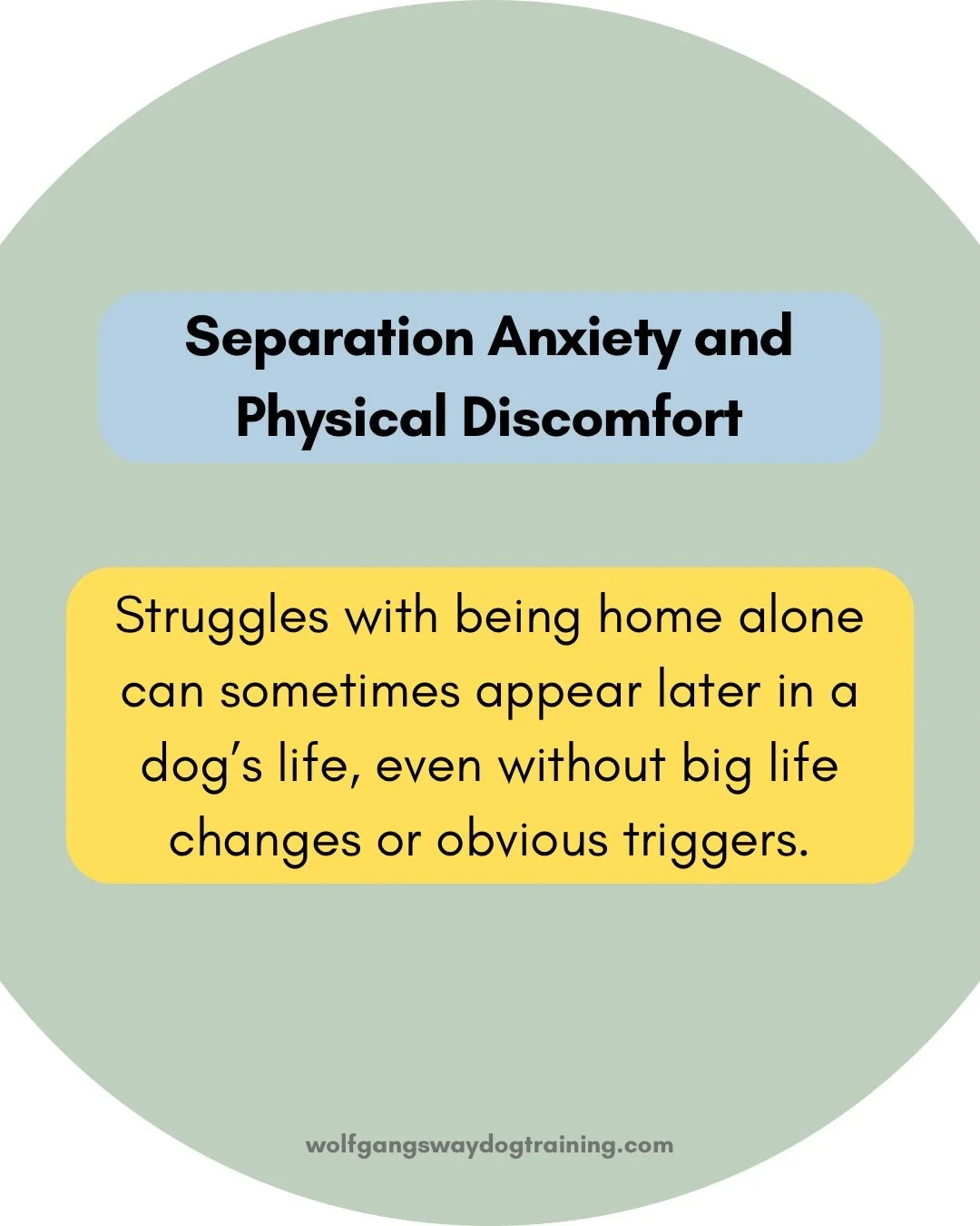 Pain and physical discomfort can play a big role in a dog&rsquo;s behaviour, including how they cope when left alone.

And if your dog suddenly struggles with separation related issues, recognising other subtle changes matters. And knowing what&rsquo