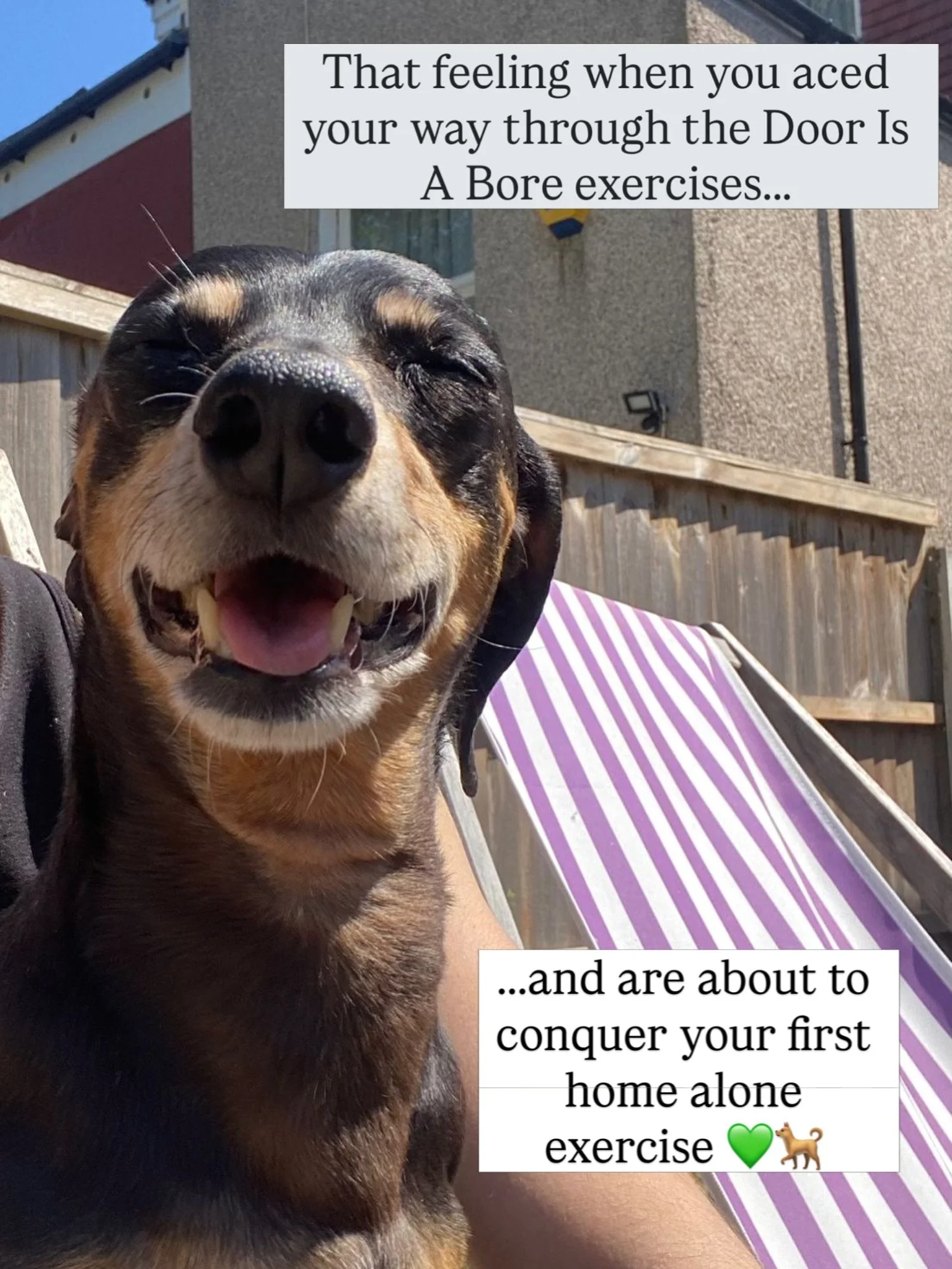 Door Is A Bore exercises help create predictability, routine and confidence around coming and going. They teach your dog that anything happening around the front door (depressing the door handle, unlocking the door, opening/ closing, etc) is normal, 