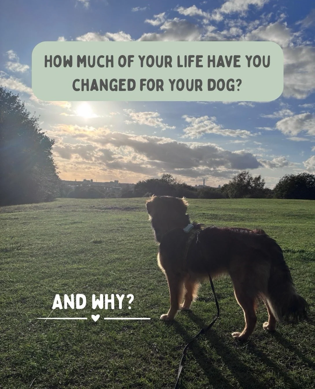 Whether you&rsquo;ve welcomed a freshly baked puppy into your life or found your perfect buddy in a rescue shelter abroad, a dog changes your life.

For the better, of course. But sometimes the life changes that come with them are trickier than we ex