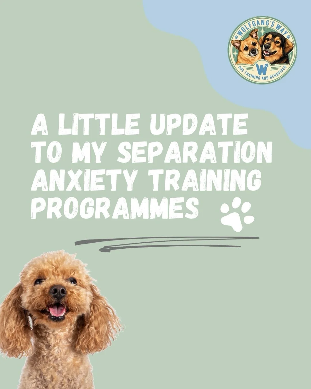 After years of helping dogs and their humans navigate separation anxiety, I&rsquo;m making some changes to my programmes.
Because every dog is different, and so is the level of support their humans need. ❤️

𝗙𝗿𝗼𝗺 𝟏 𝗡𝗼𝘃𝗲𝗺𝗯𝗲𝗿, there will b