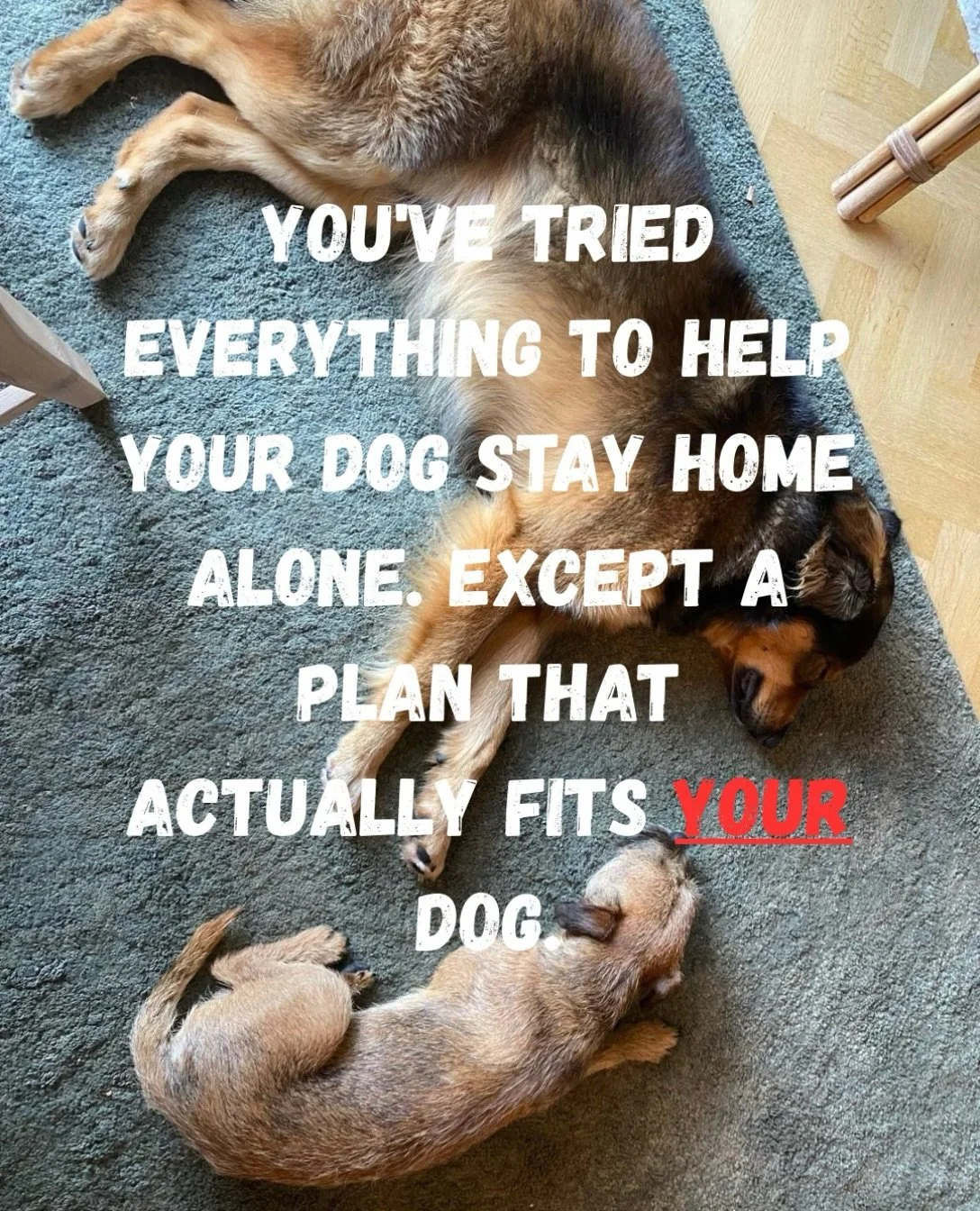 You&rsquo;ve followed the advice, tried all the tips and tricks, practised leaving for seconds and minutes&hellip; but you&rsquo;re still not getting anywhere.

Sounds familiar?

Here&rsquo;s the thing: separation anxiety can be down to many differen