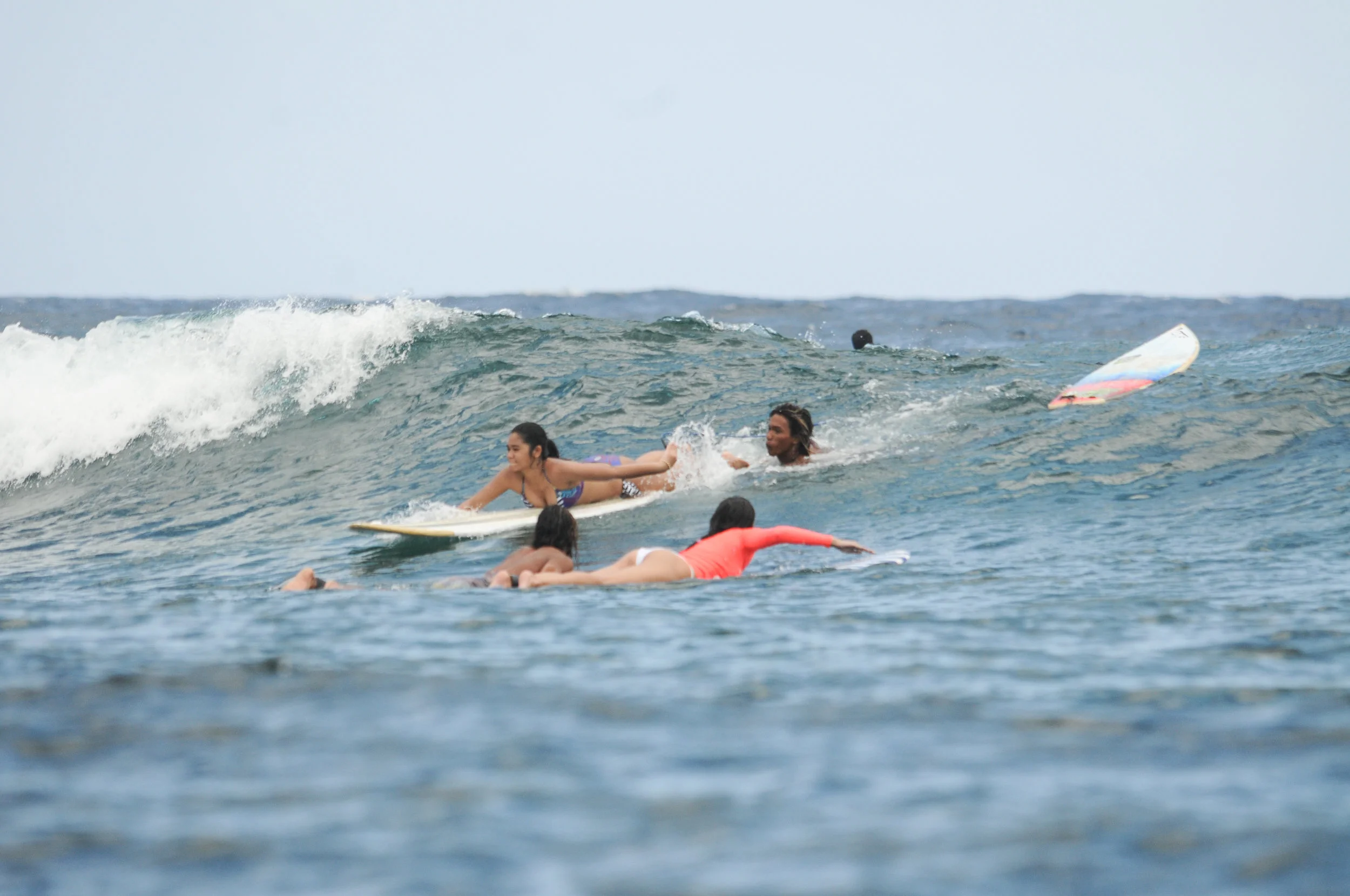 Sleep Eat Surf