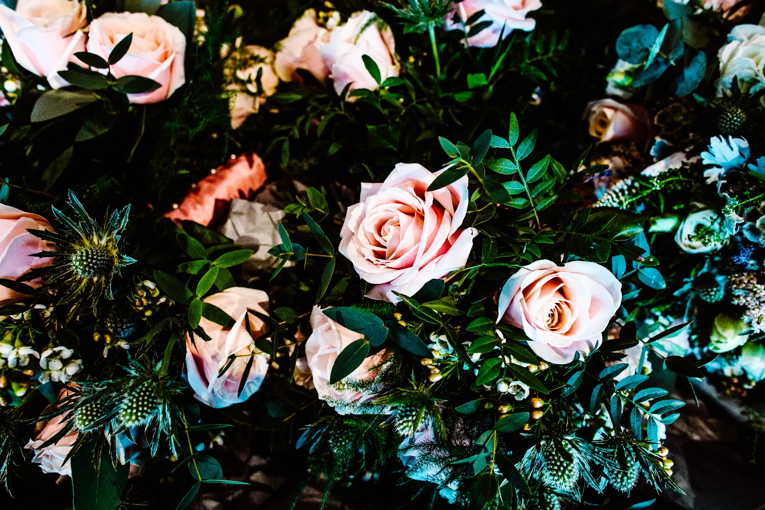 AndyWardlePhotography_0011.jpg