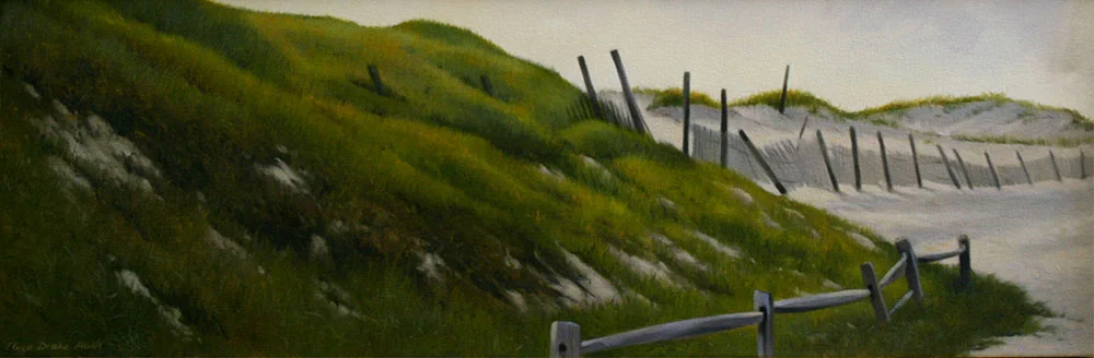 Island Beach Dunes