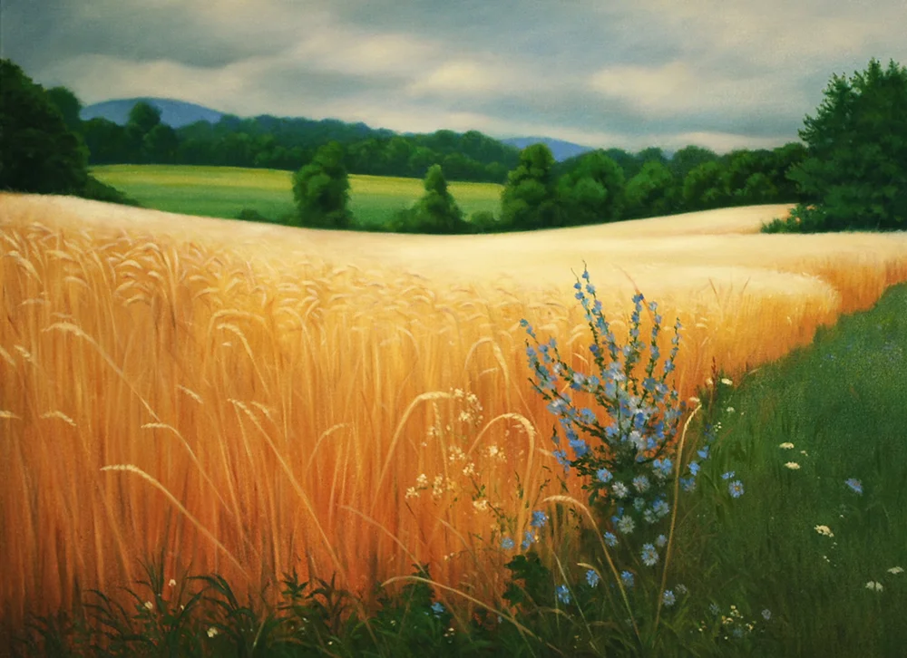 Field of Gold