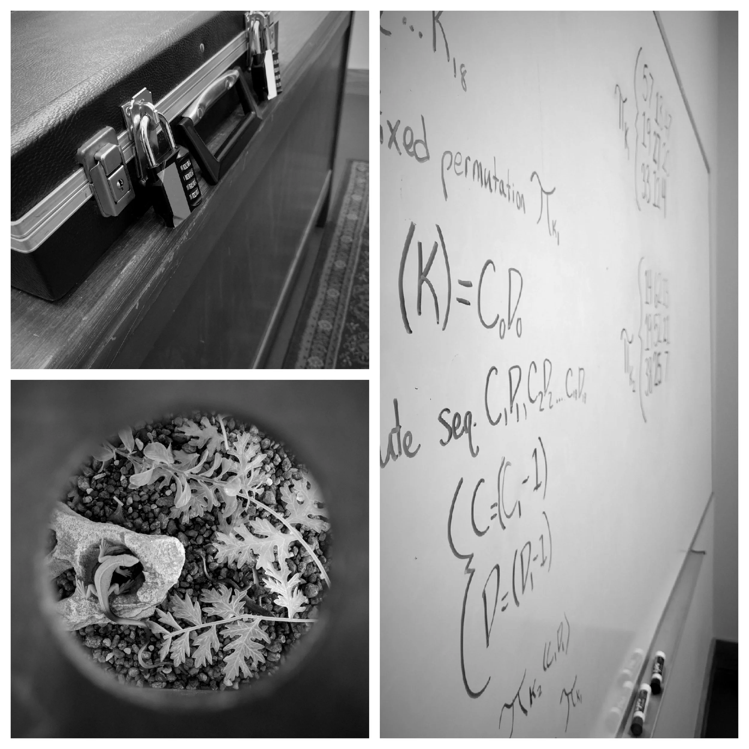 escape rooms Bloomington IN code and key team-building group events family fun downtown Bloomington