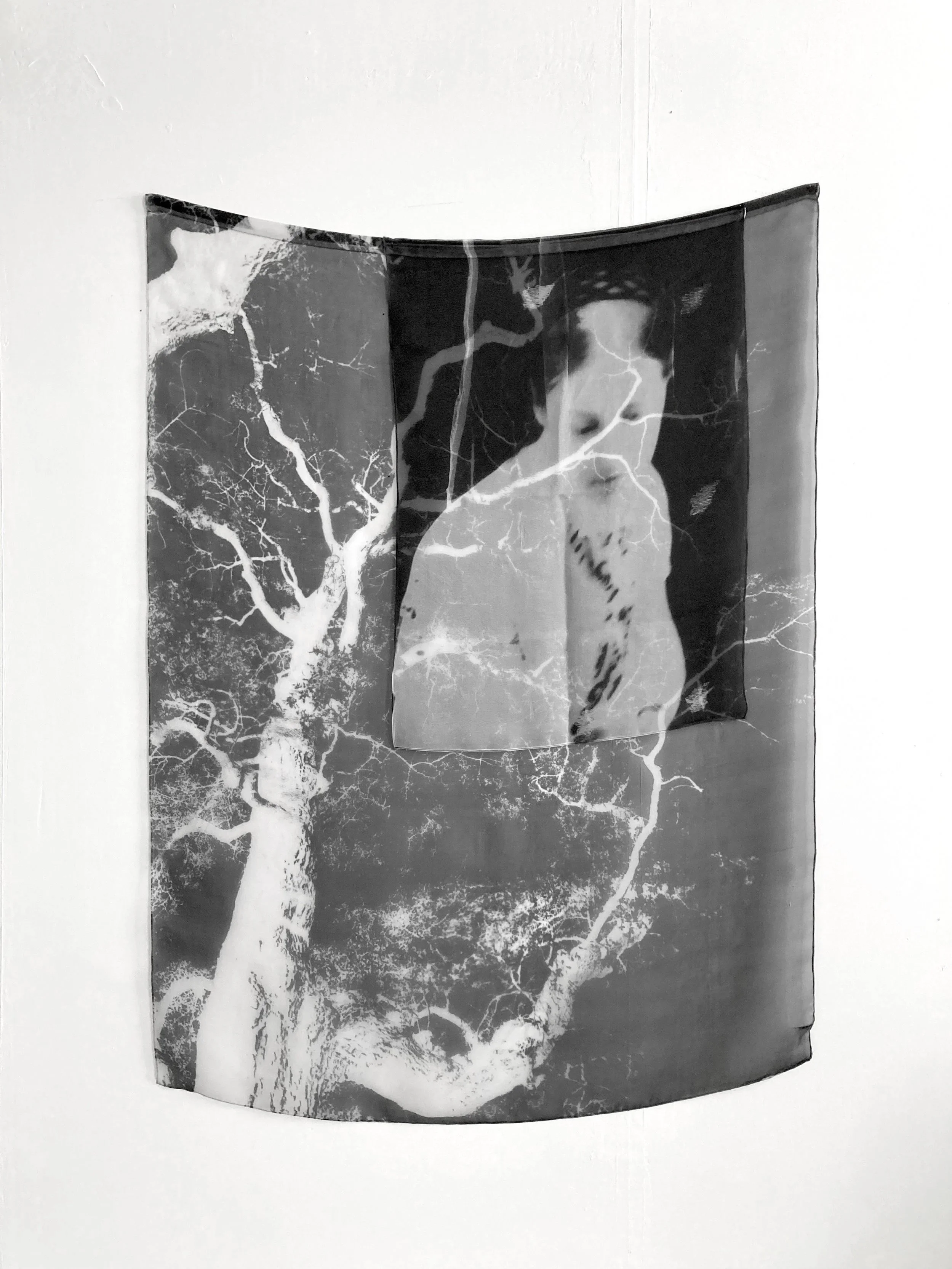 Lucy's spirit, 2022-2023