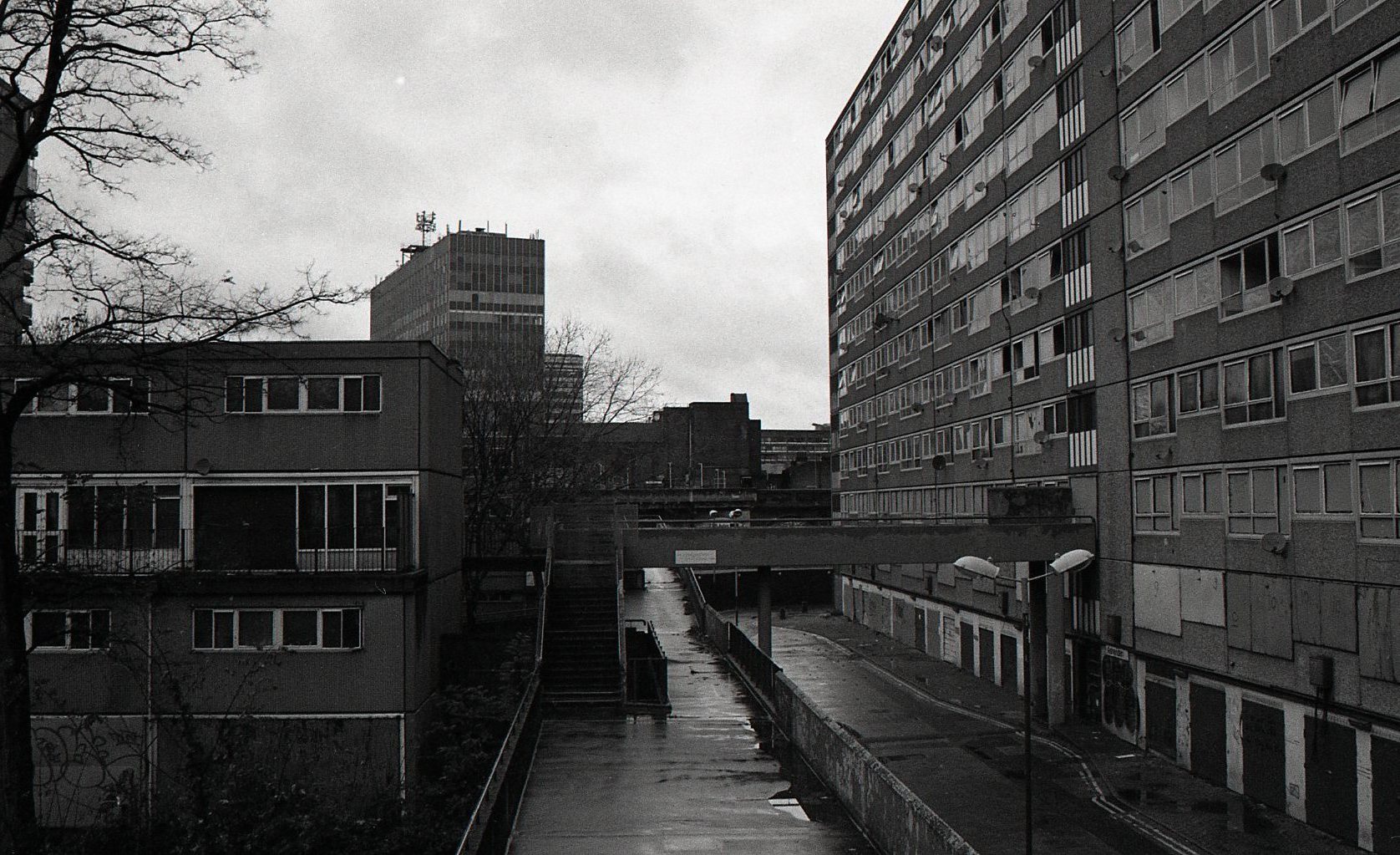 img045.jpg