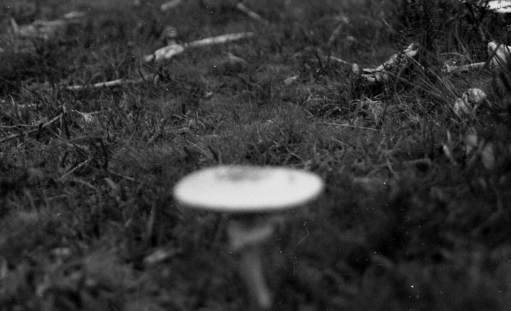 img004.jpg