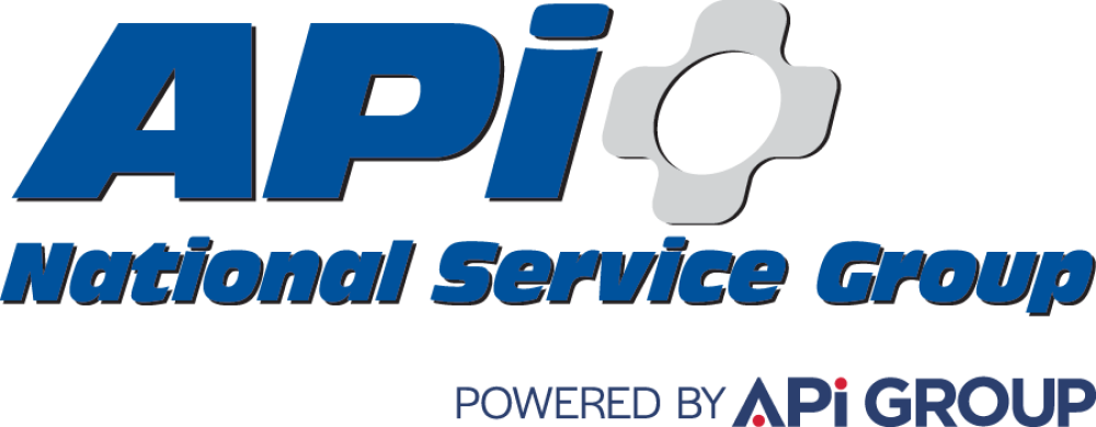 Logo_APiNationalServiceGroup2024_PNG.png