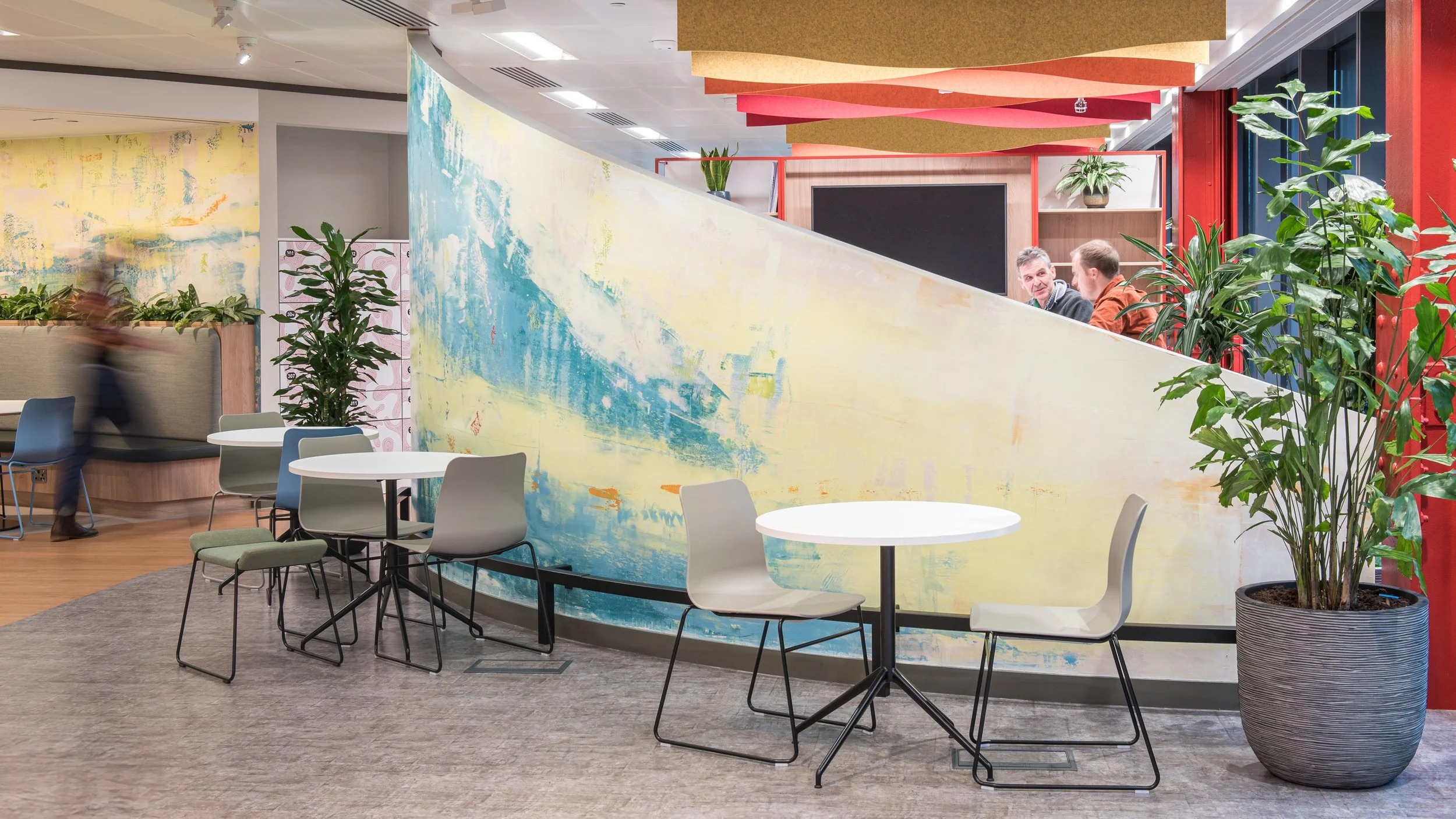 Aster Muro Arup3488.jpg