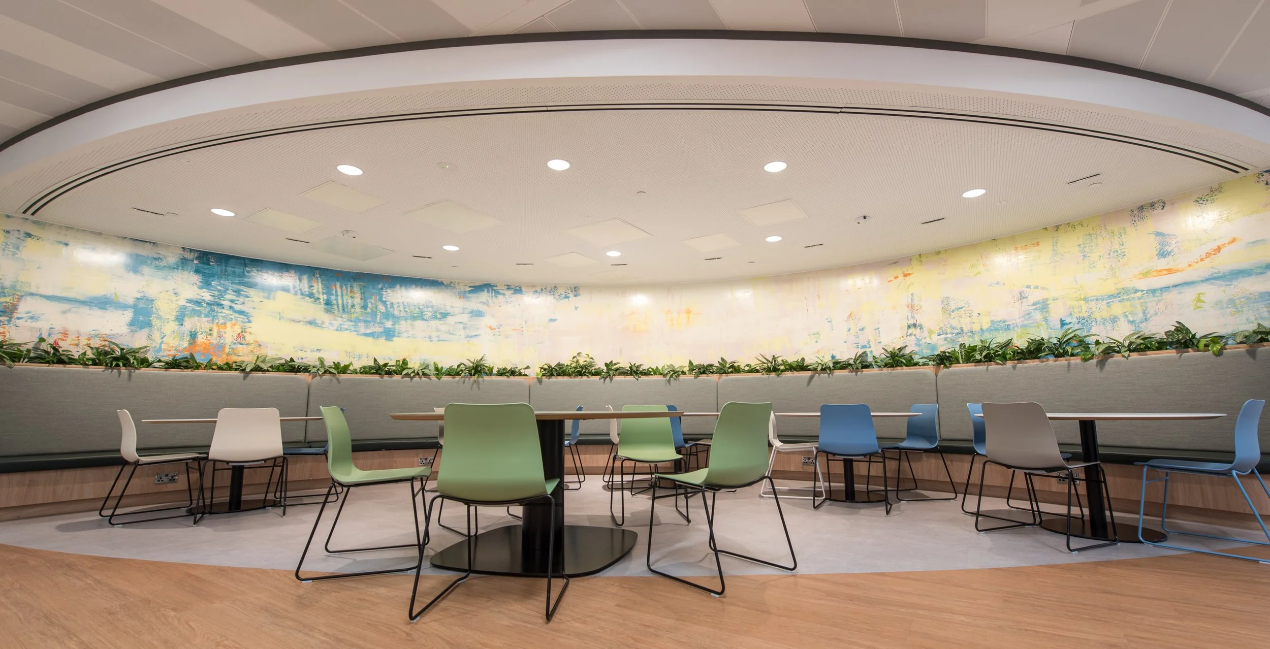 Aster Muro Arup3537.jpg